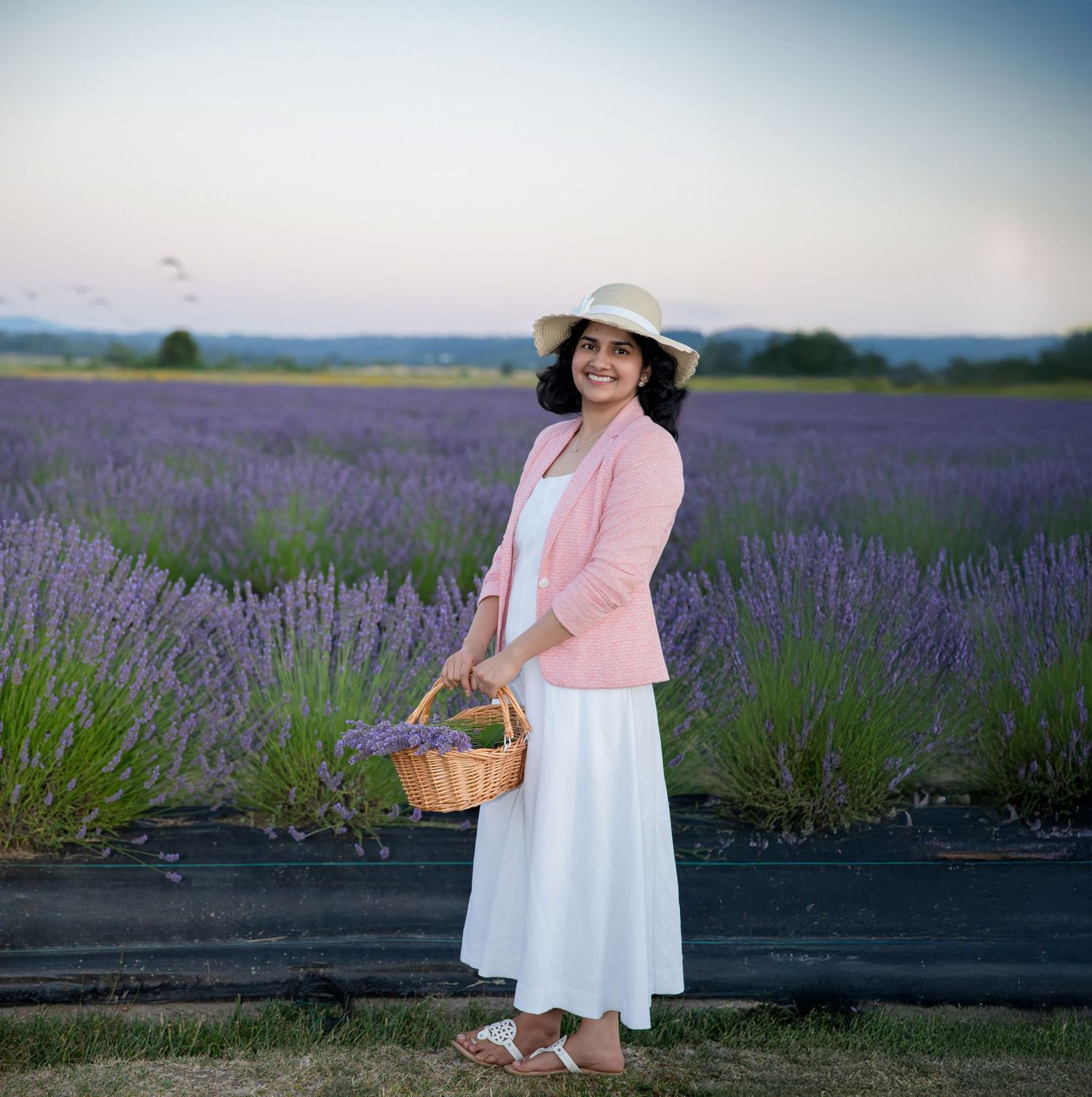 Person carrying wicker basket poses in lavender field wearing pink blazer and white dress.