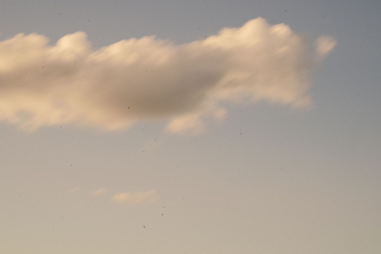 Soft fluffy clouds in pastel sky during golden hour.