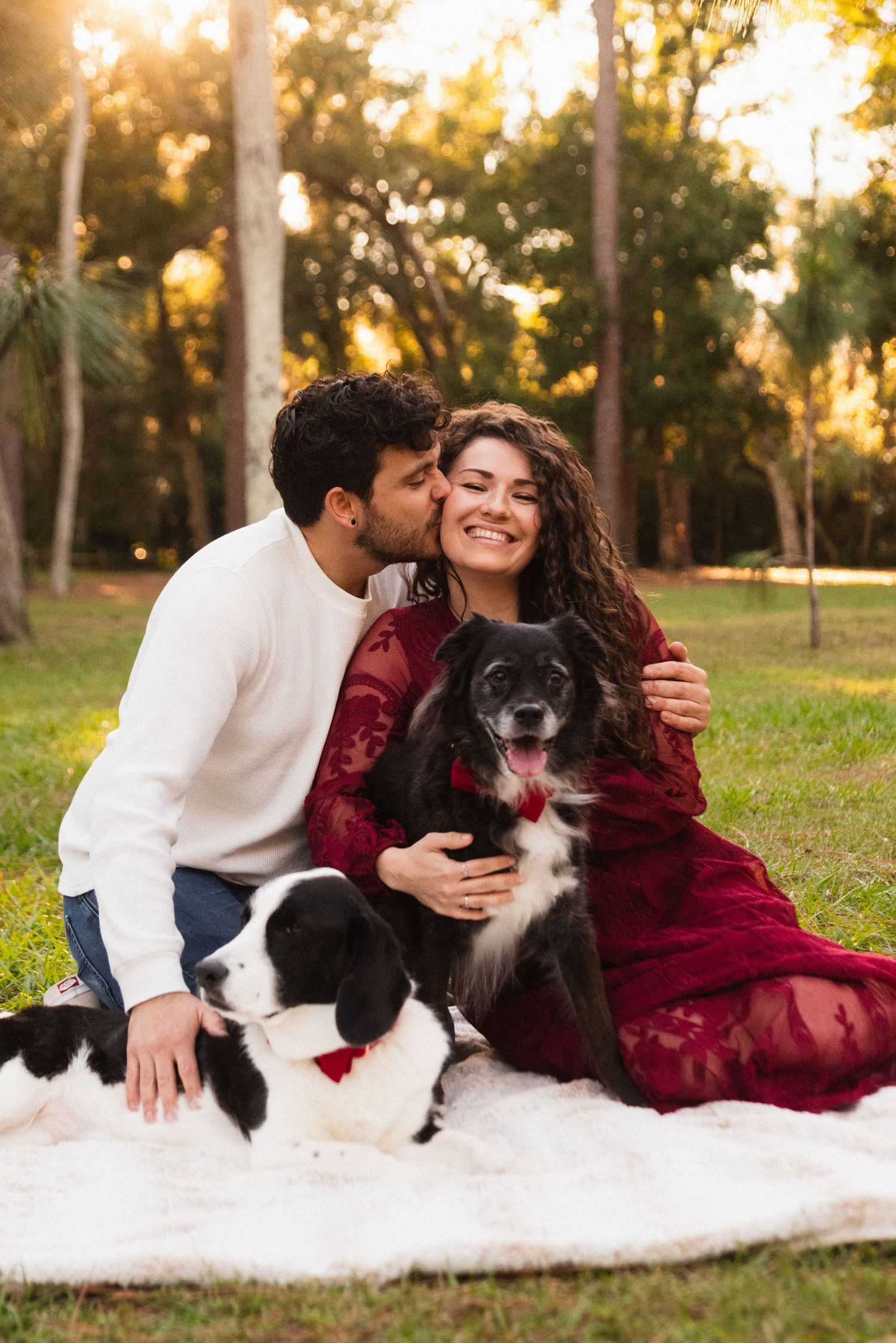 Family portrait with two border collies relaxing on white blanket in park during sunset.