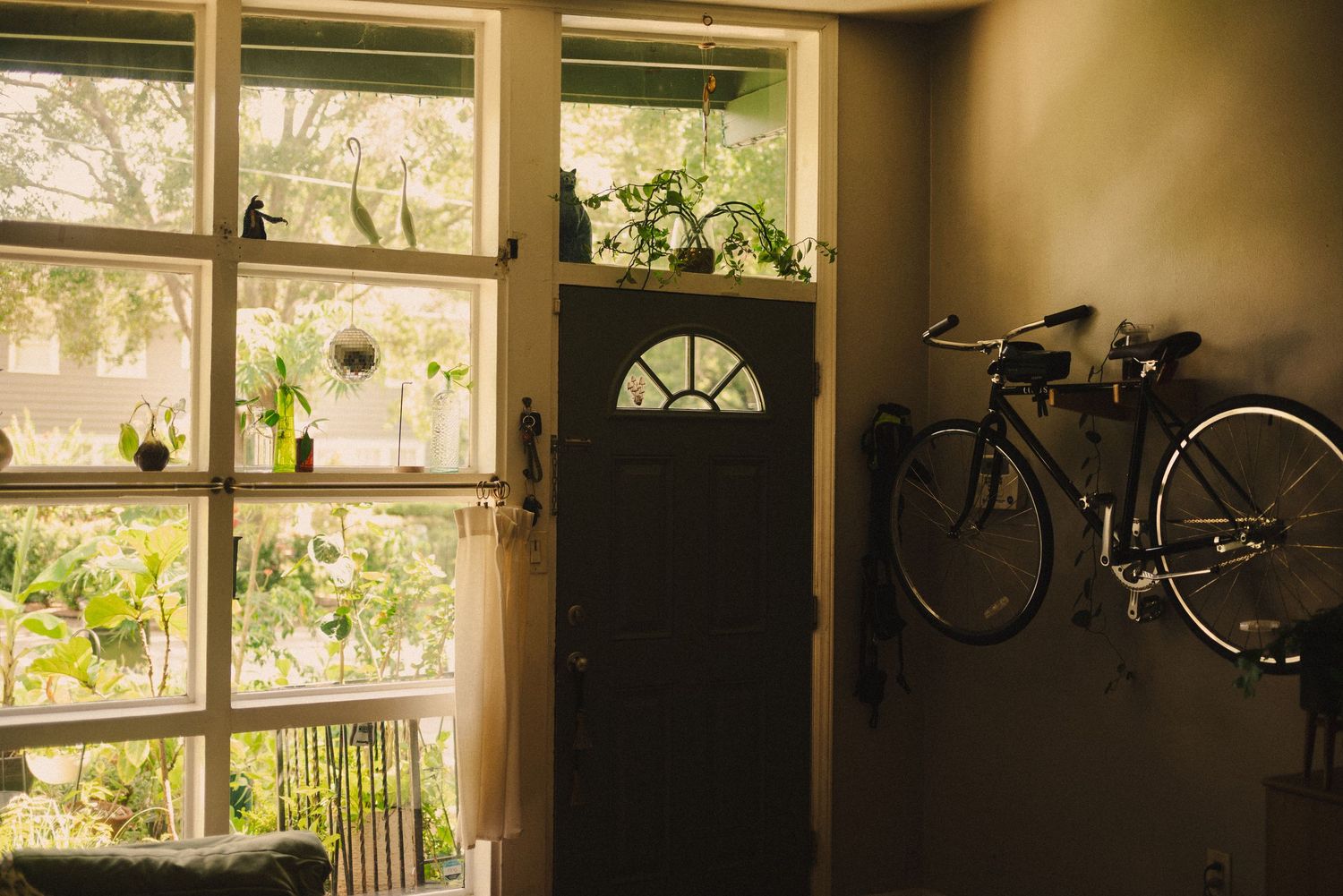 Sunlit entryway with a bicycle mounted on the wall and plants in the window.