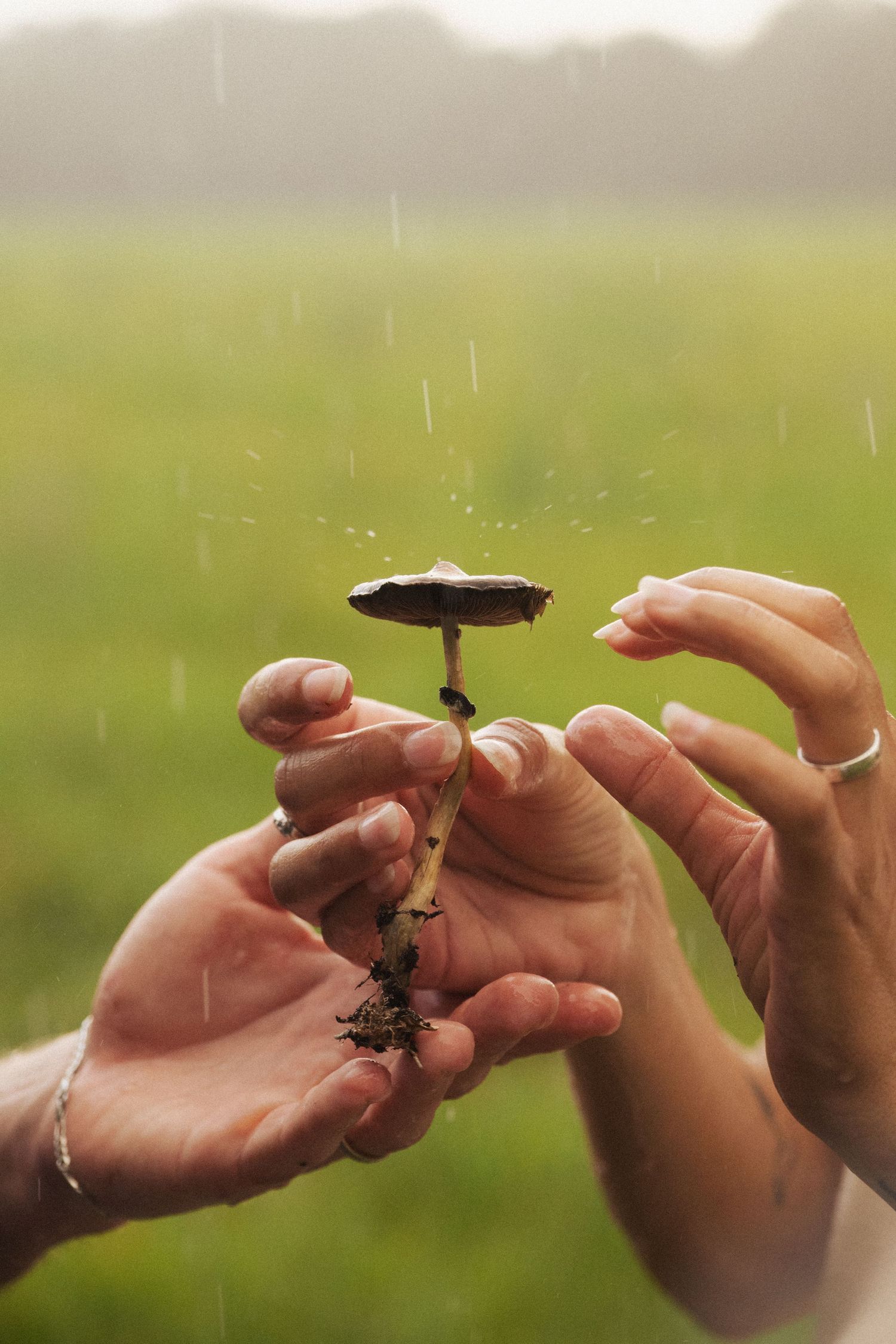 Close-up of hands exchanging or examining small objects in the rain.
