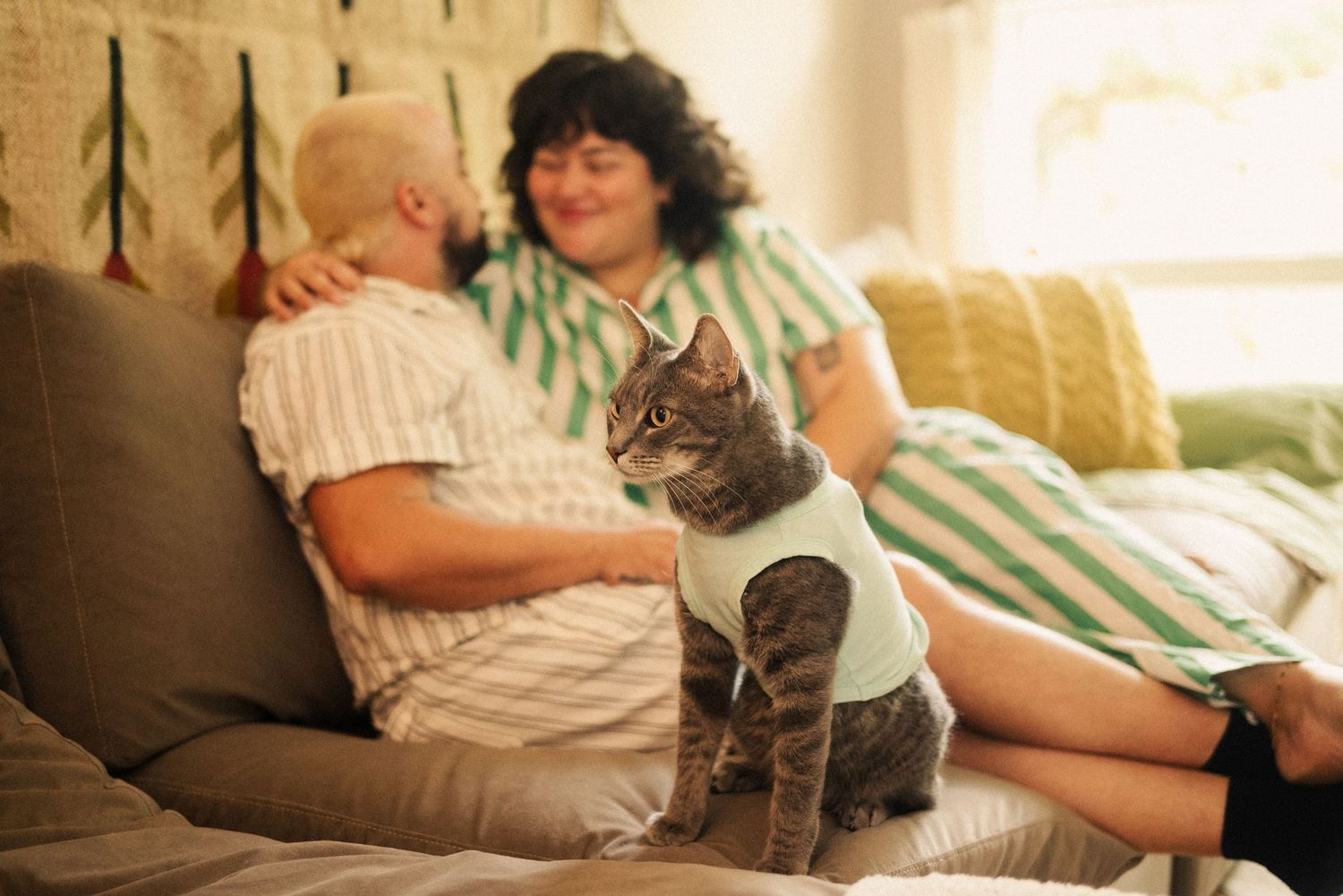 A gray cat sits on a cozy couch between two people in casual attire.