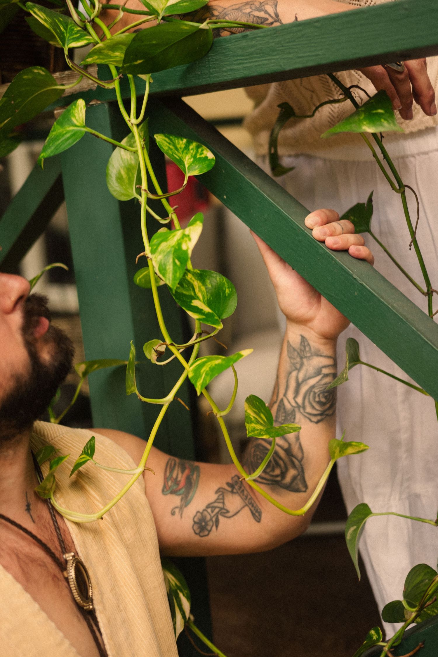 Tattooed arms reach for green railing with climbing vines in natural lighting.