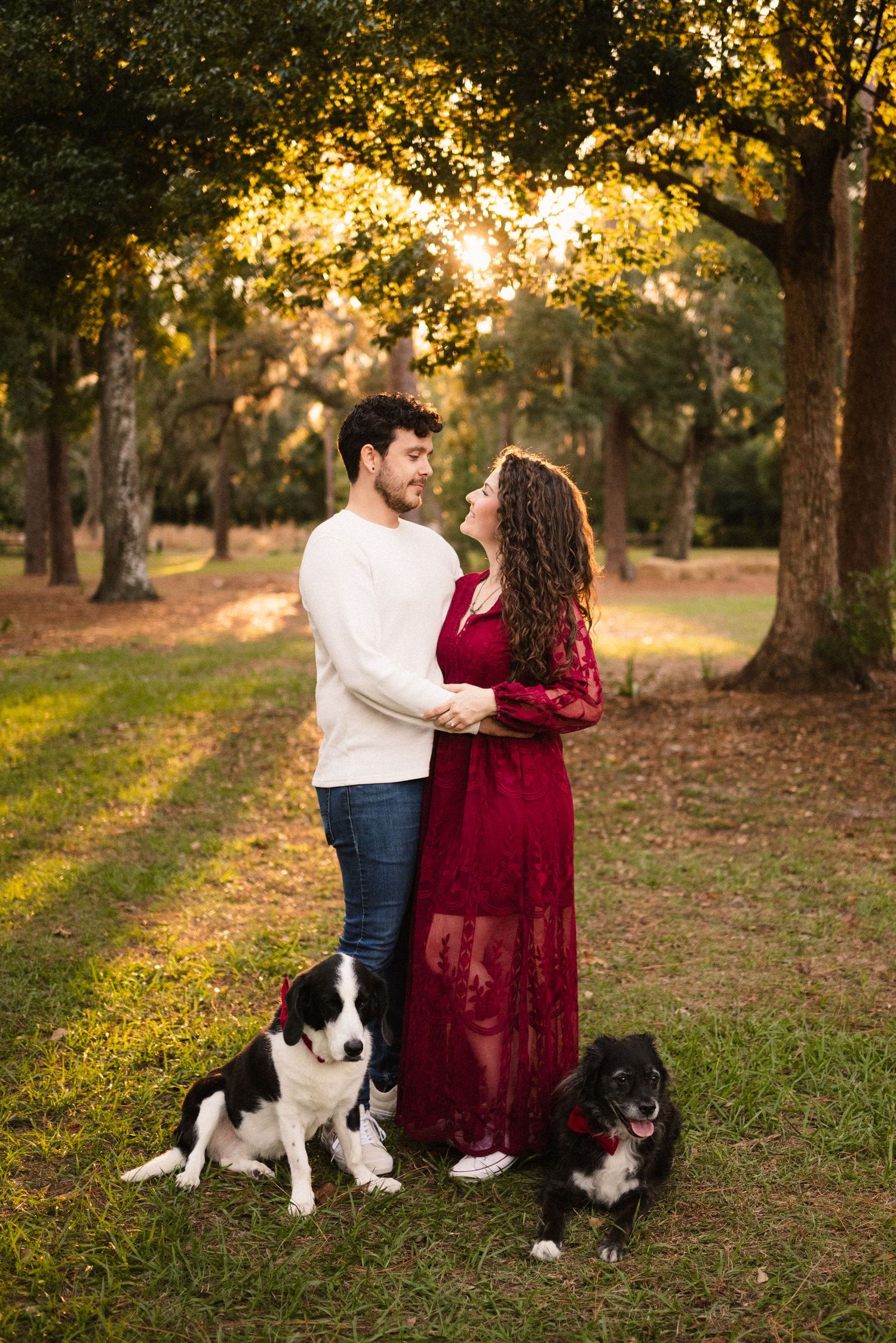 A couple poses with their border collie dogs in a park during golden hour.
