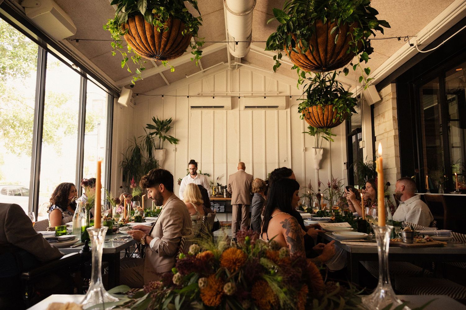 Restaurant dining room with hanging plants and natural light streaming through windows.