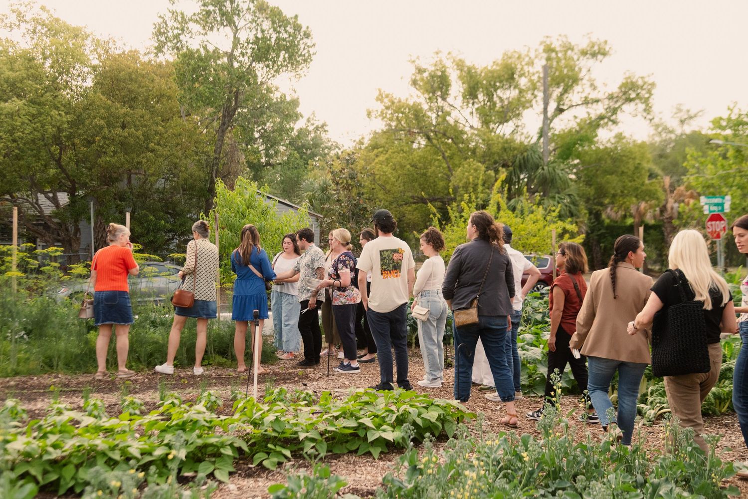 Large group of people gathered outdoors in a natural setting during a community event.