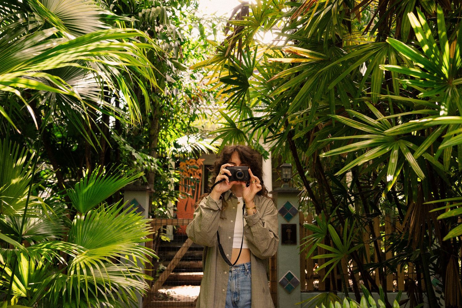 Lush tropical palm garden with sunlight filtering through dense foliage.