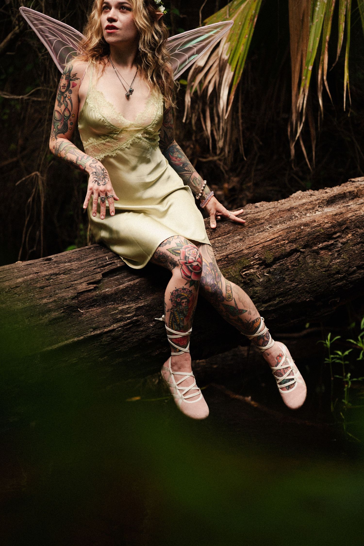 Fairy with ornate wings perches on fallen log in moody forest setting.