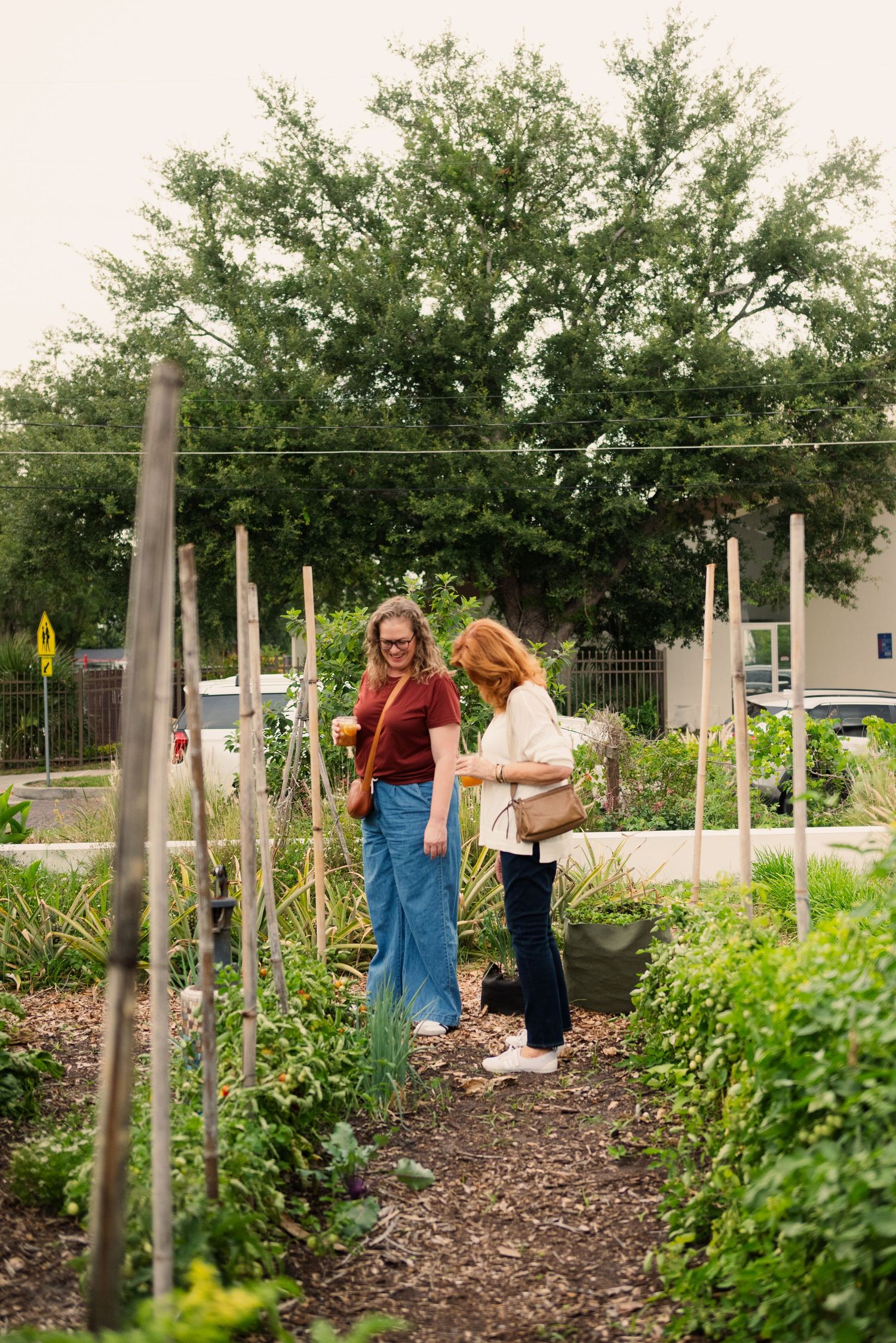 Two people walking through a community garden with tall wooden stakes and green plants.