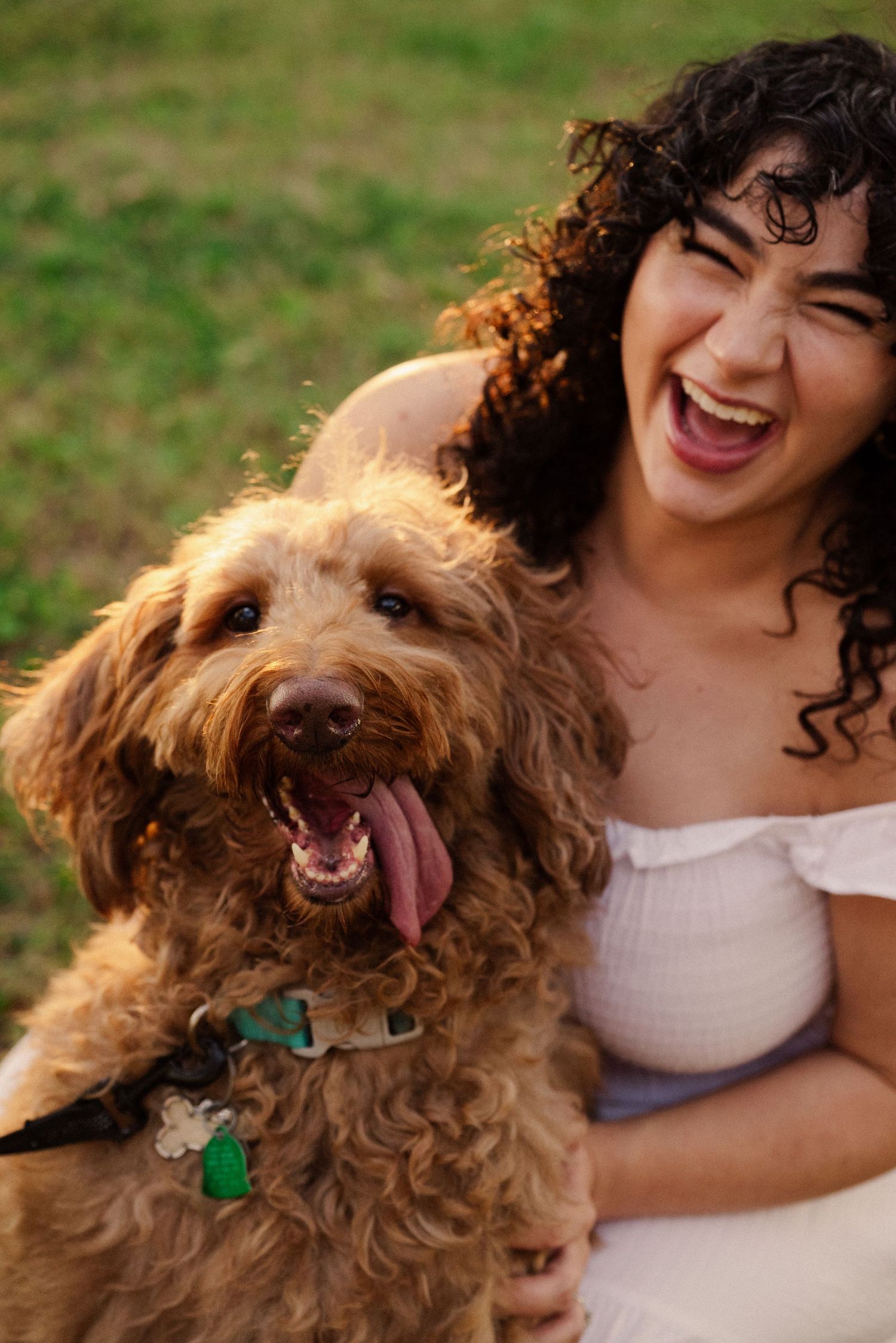 A happy brown dog with a collar shares joyful moments during an outdoor photoshoot.