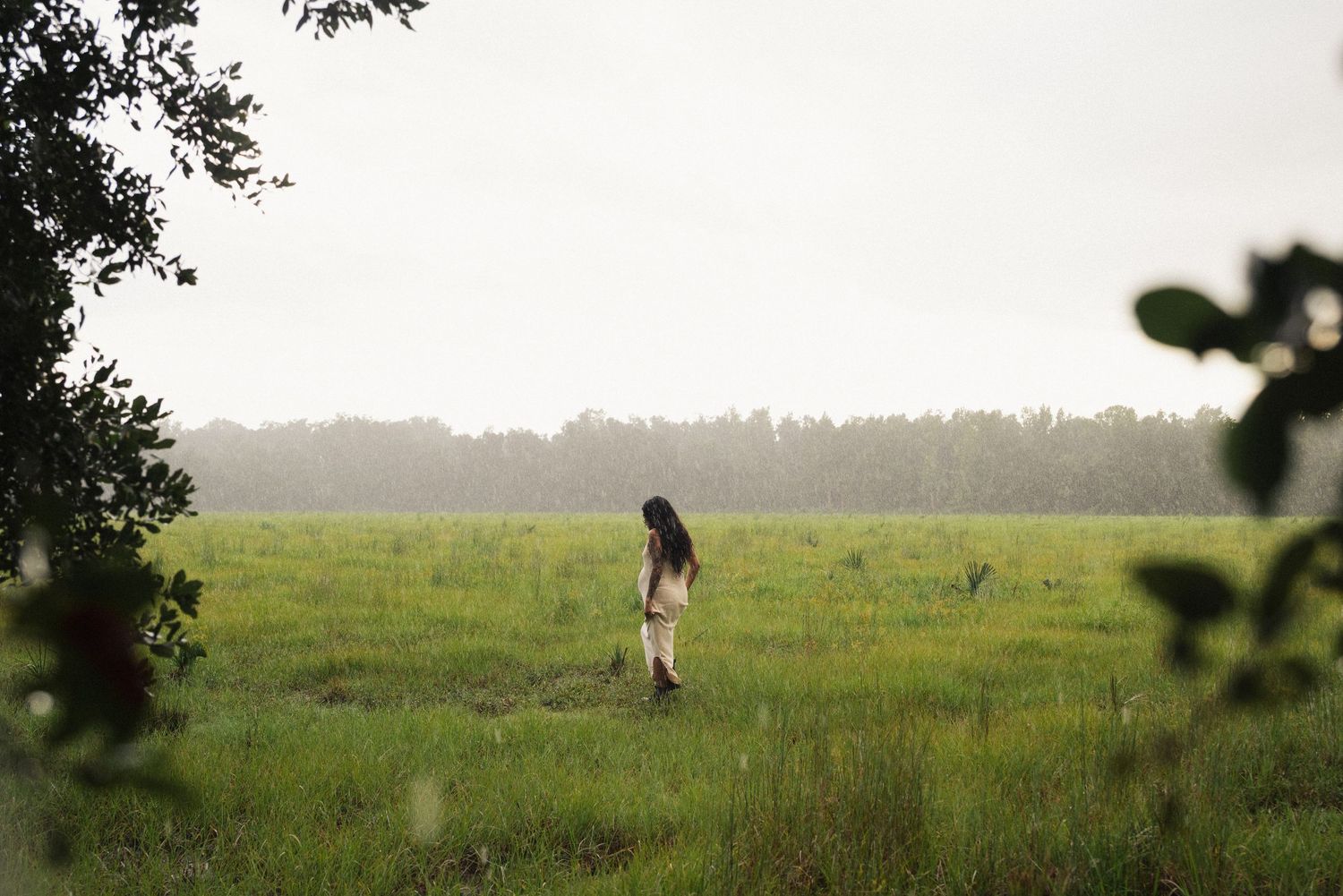 A silhouette of a person walking in a misty field at dusk.