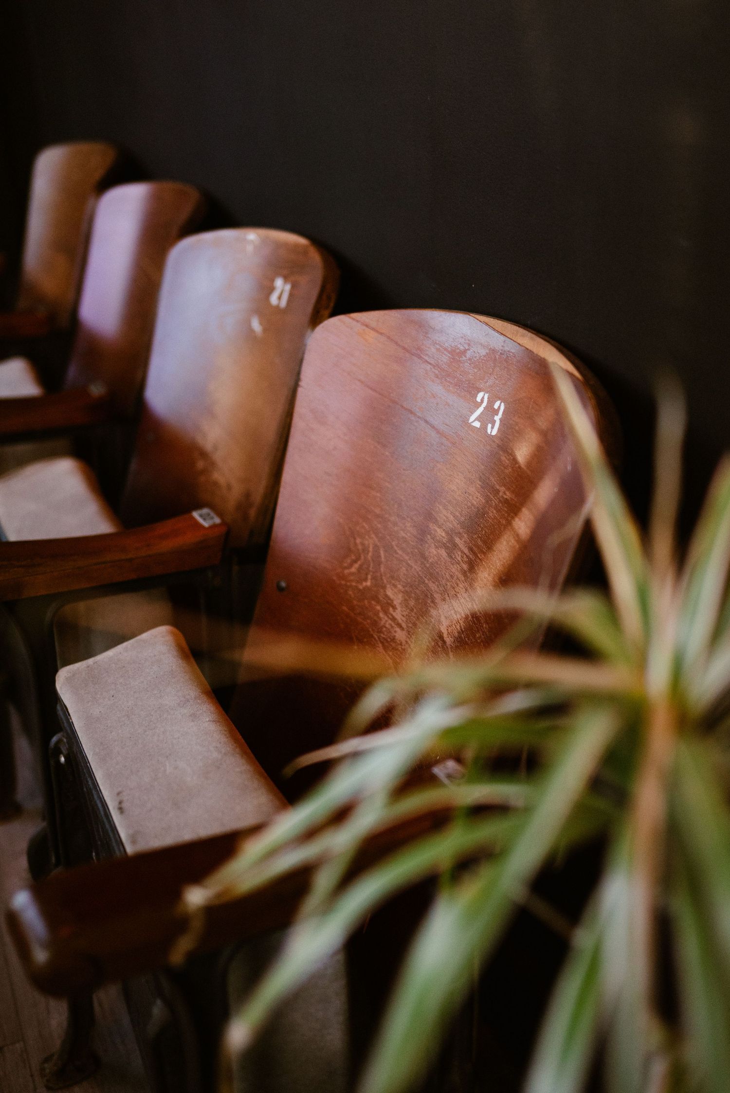 Close-up view of brown leather massage chairs with plants in soft focus.