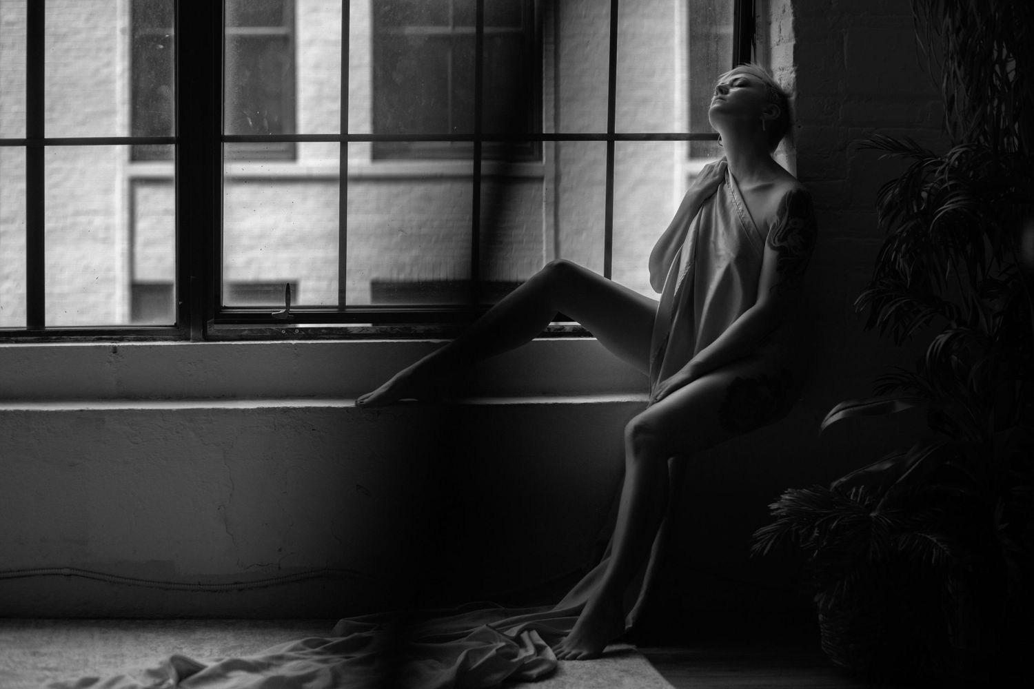 Silhouette of a dancer moving expressively in a bright studio space.