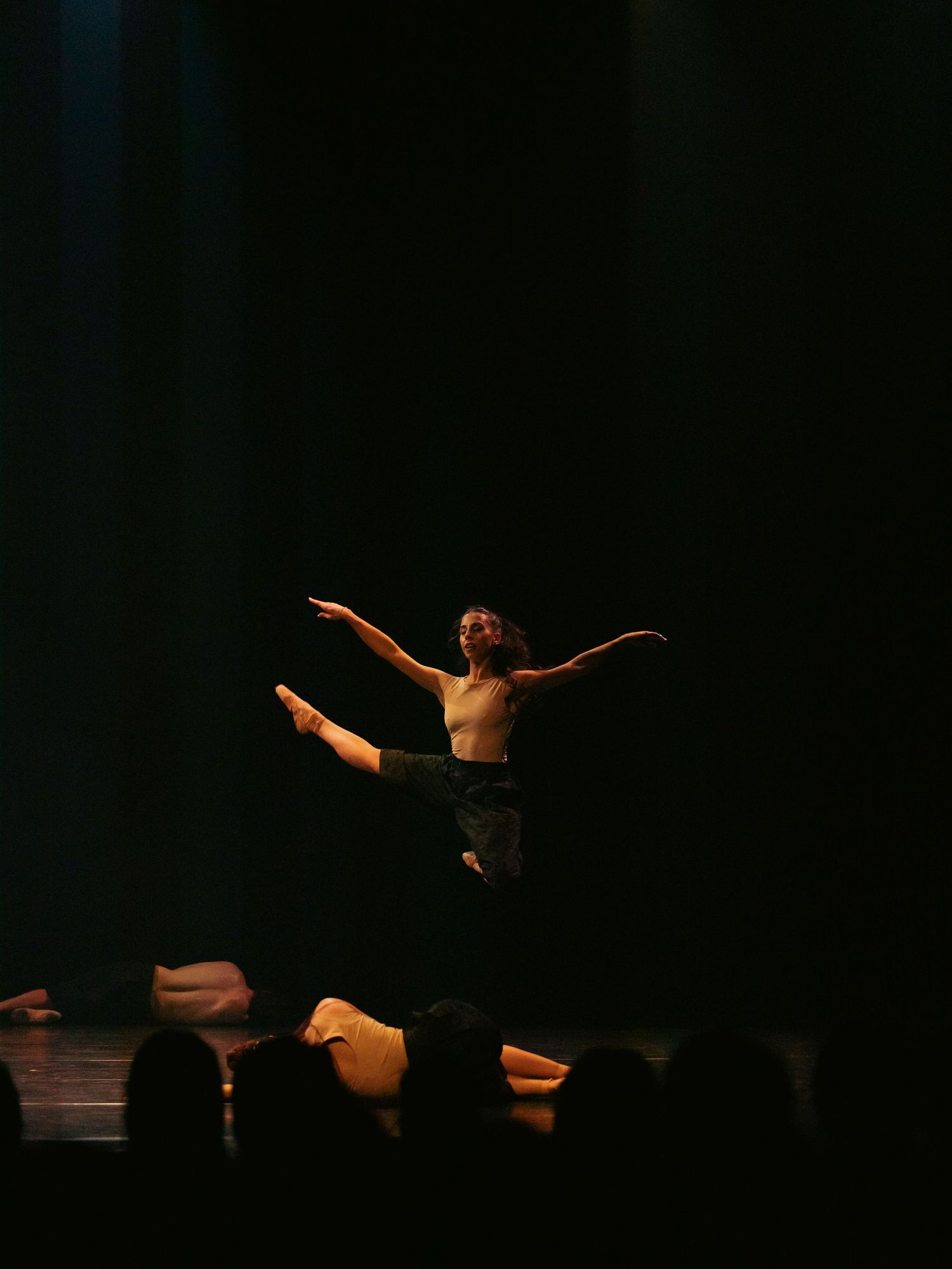 Ukrainian International Ballet performing at Theatre de Veste in Delft