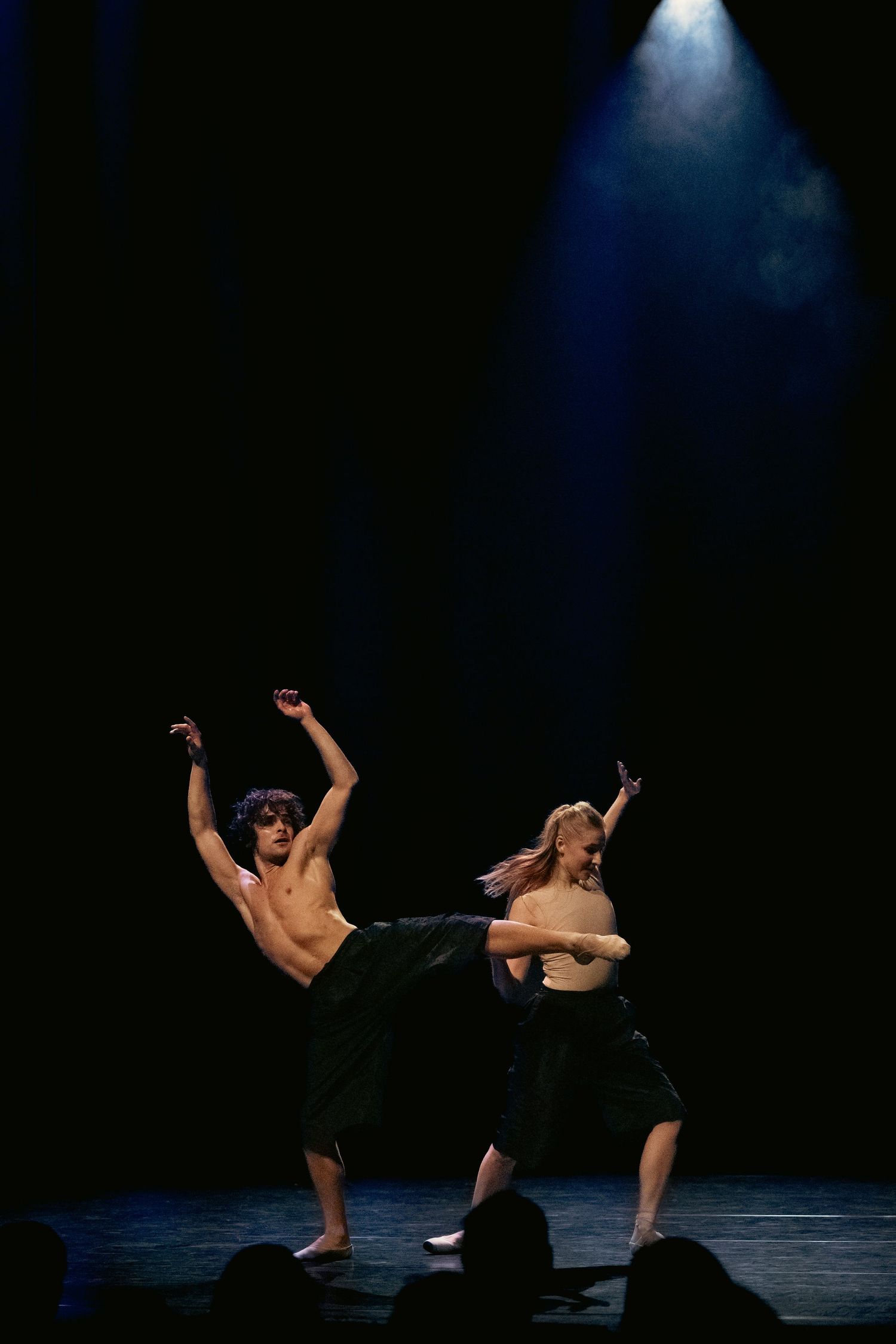 Ukrainian International Ballet performing at Theatre de Veste in Delft