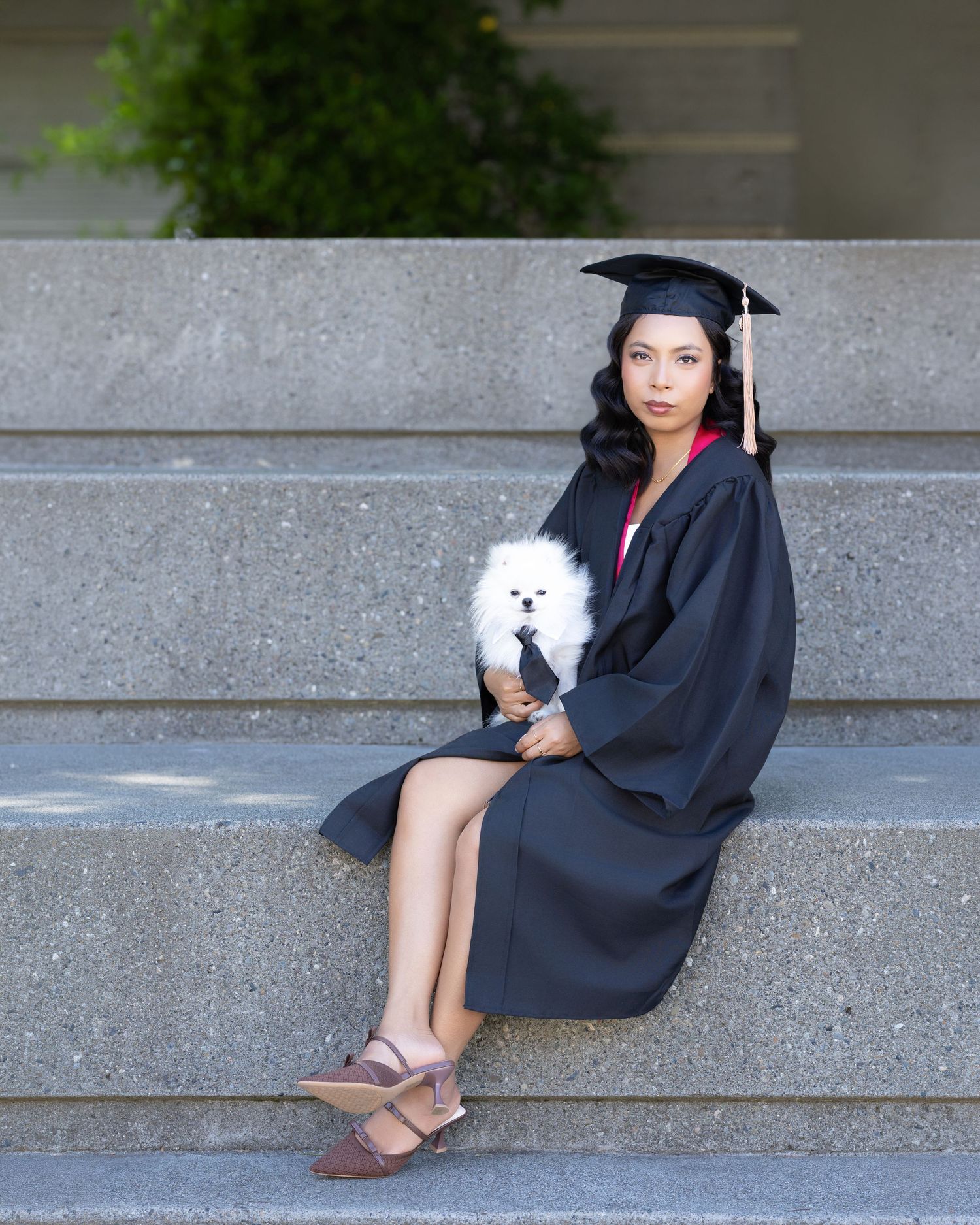 Graduate in black cap and gown sits on stone steps holding a fluffy white Pomeranian dog.