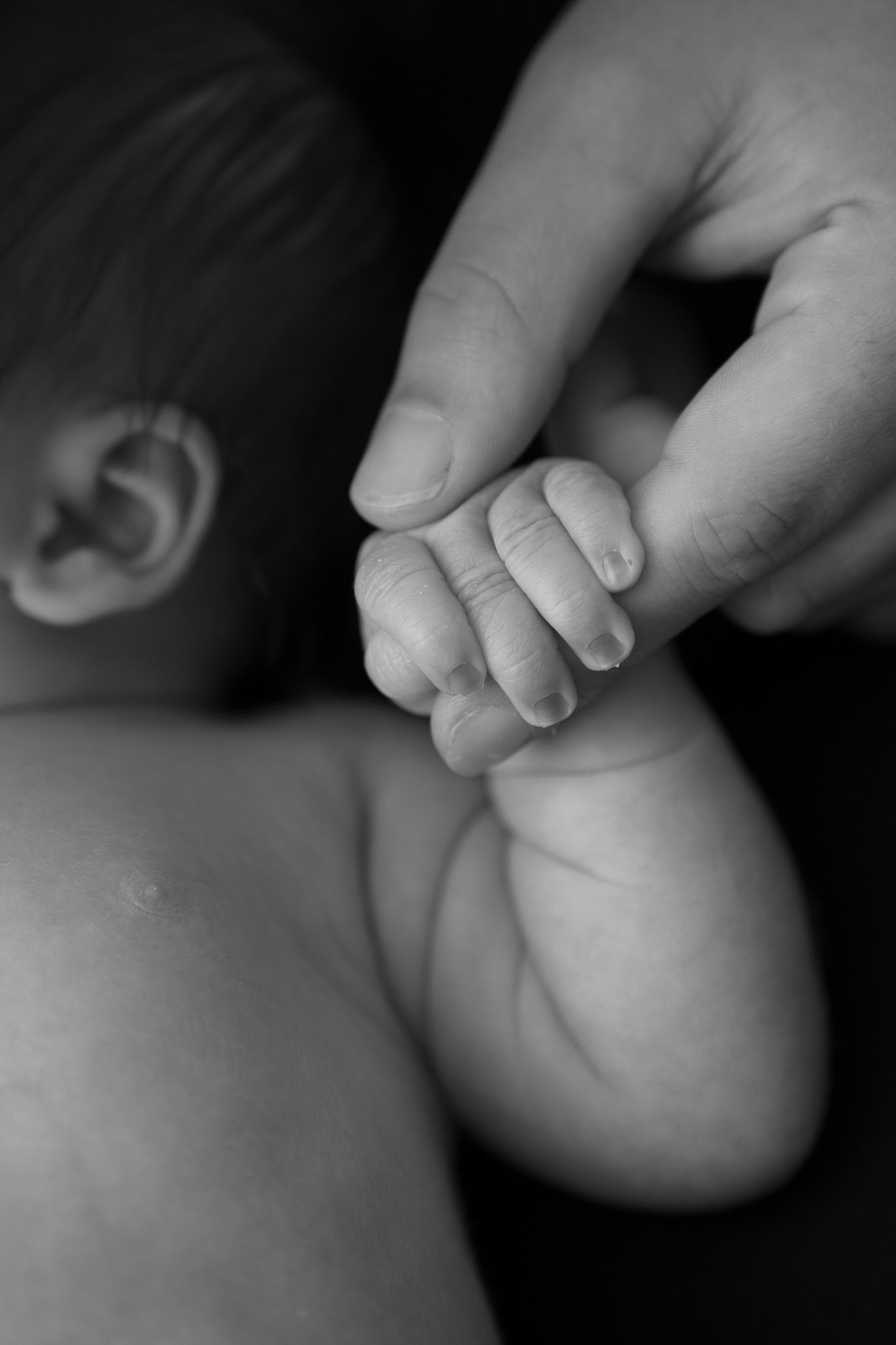 Black and white close-up of a newborn baby's tiny hand gripping a parent's finger.