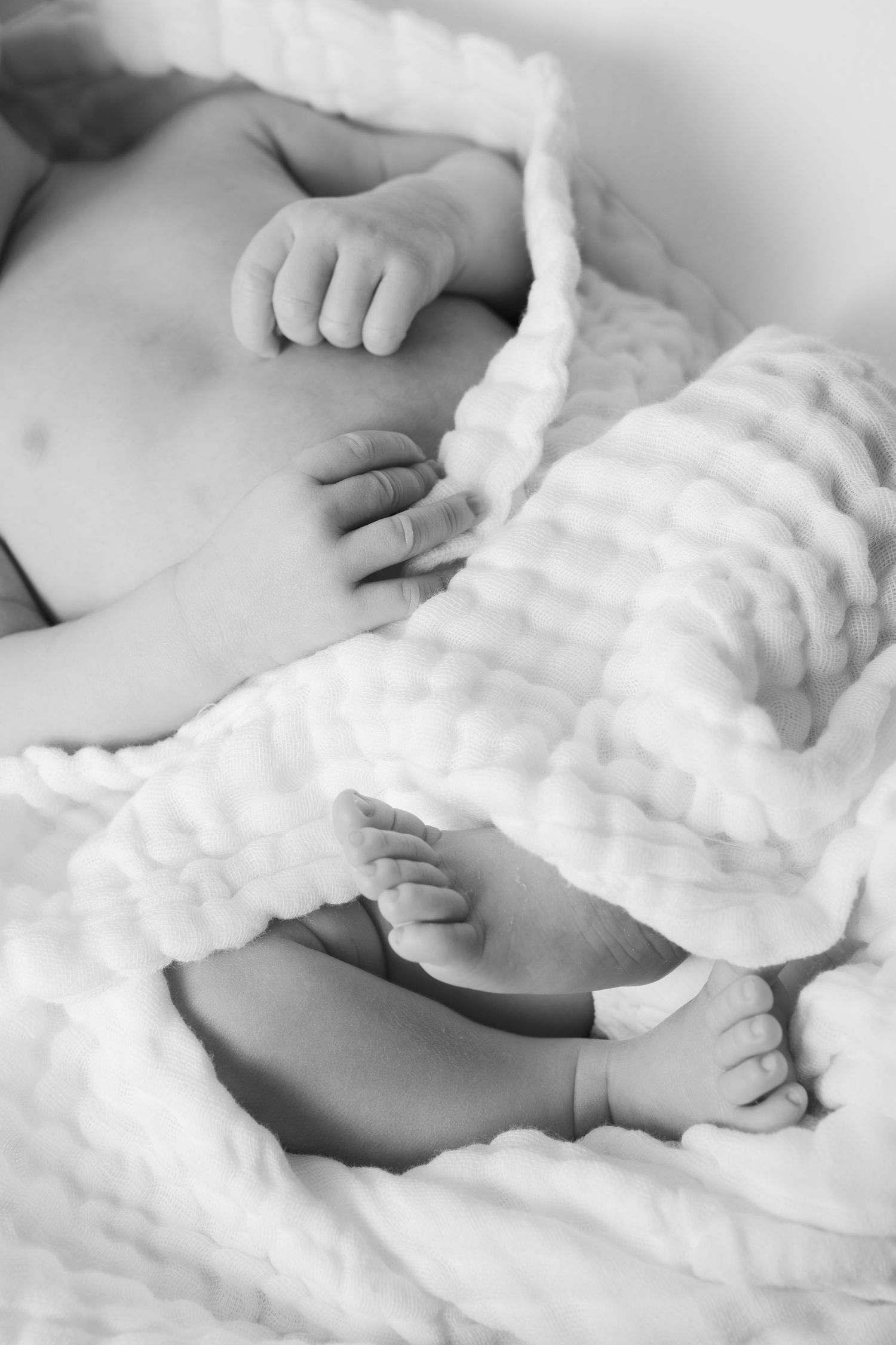 Black and white photo of newborn baby hands and feet peeking out from a soft white textured blanket.