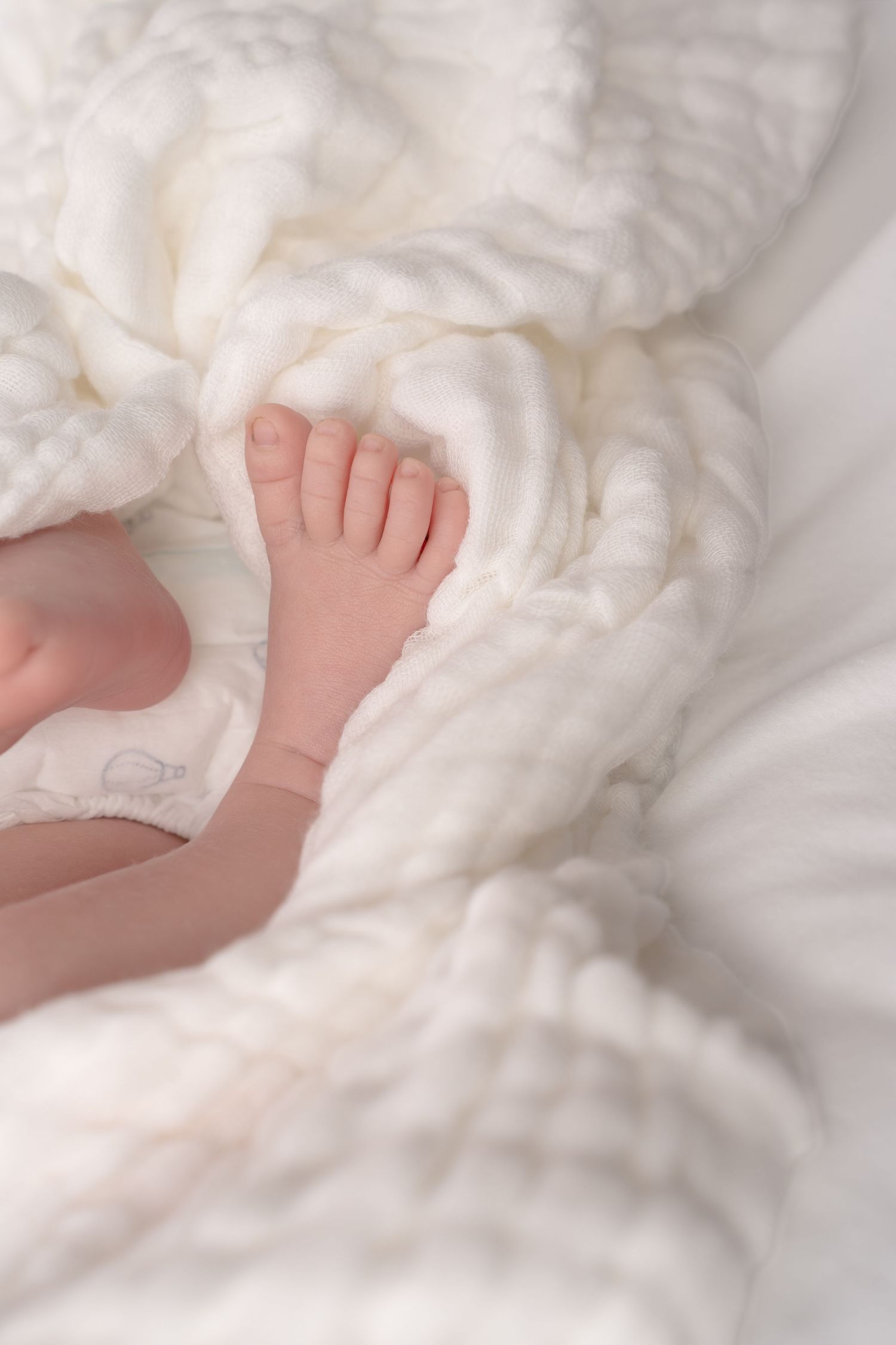 Close-up of newborn baby feet peeking out from soft white textured blanket.