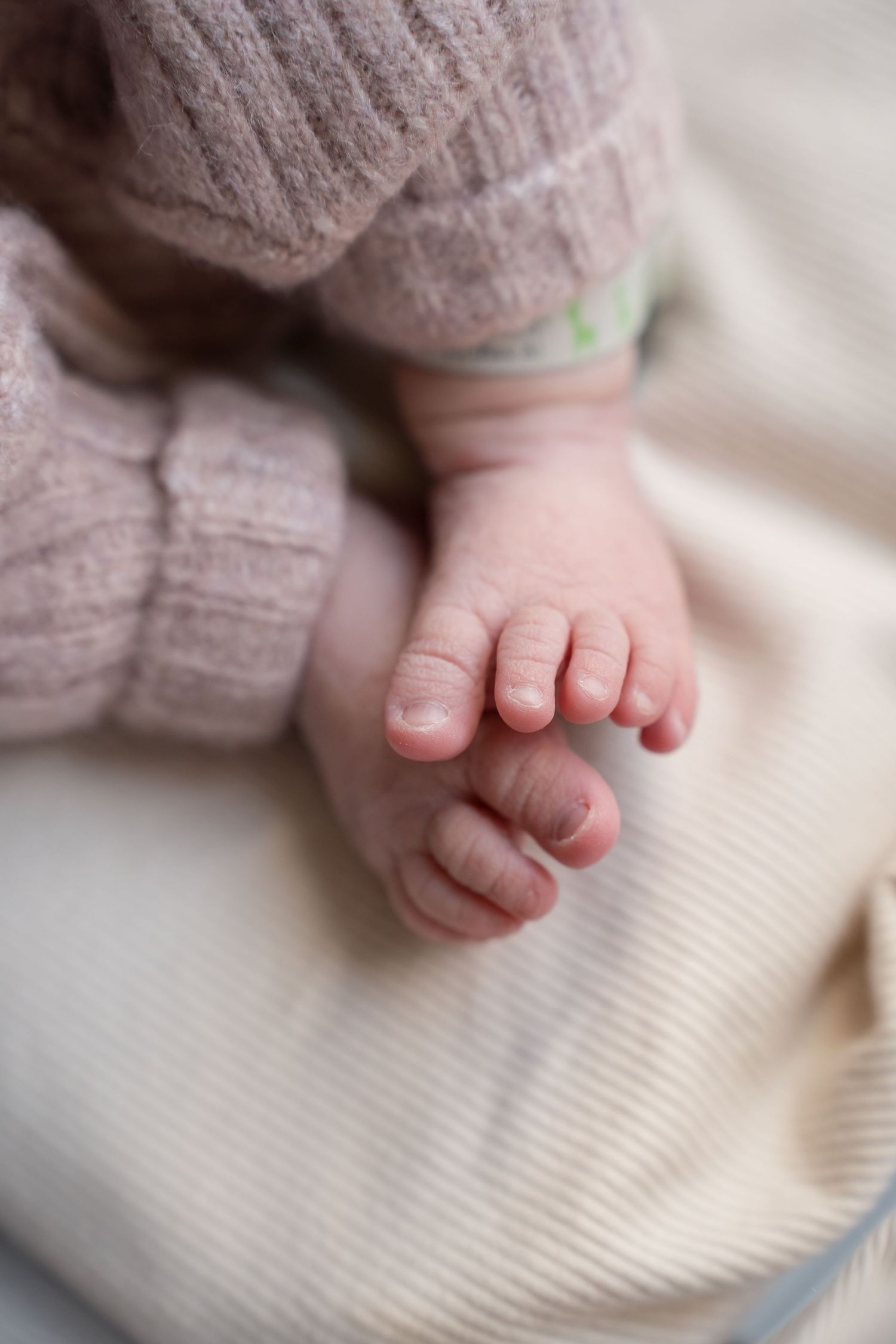 Close-up of tiny newborn baby feet and toes wearing soft pink knit booties.