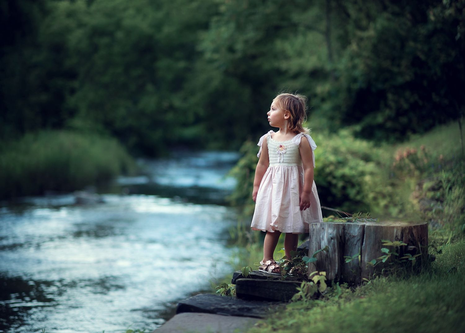 A little girl in a pink dress stands on a wooden stump beside a peaceful forest stream.