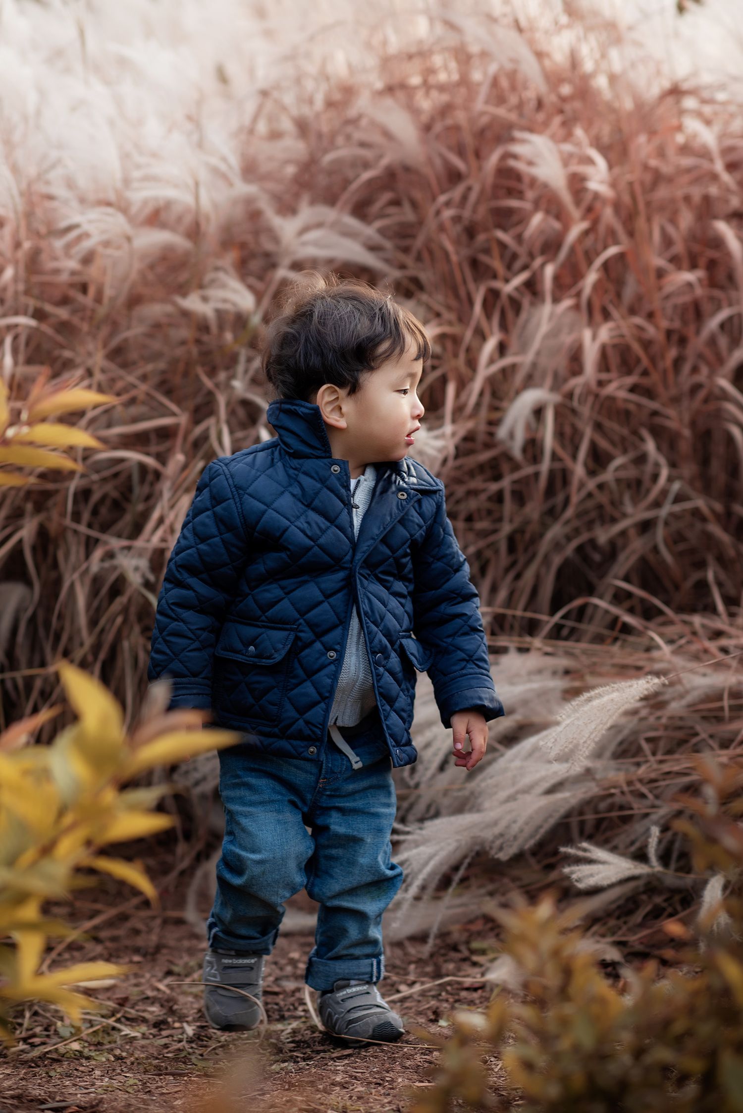 A toddler boy in a navy quilted jacket and jeans walks along a path surrounded by tall autumn ornamental grasses.