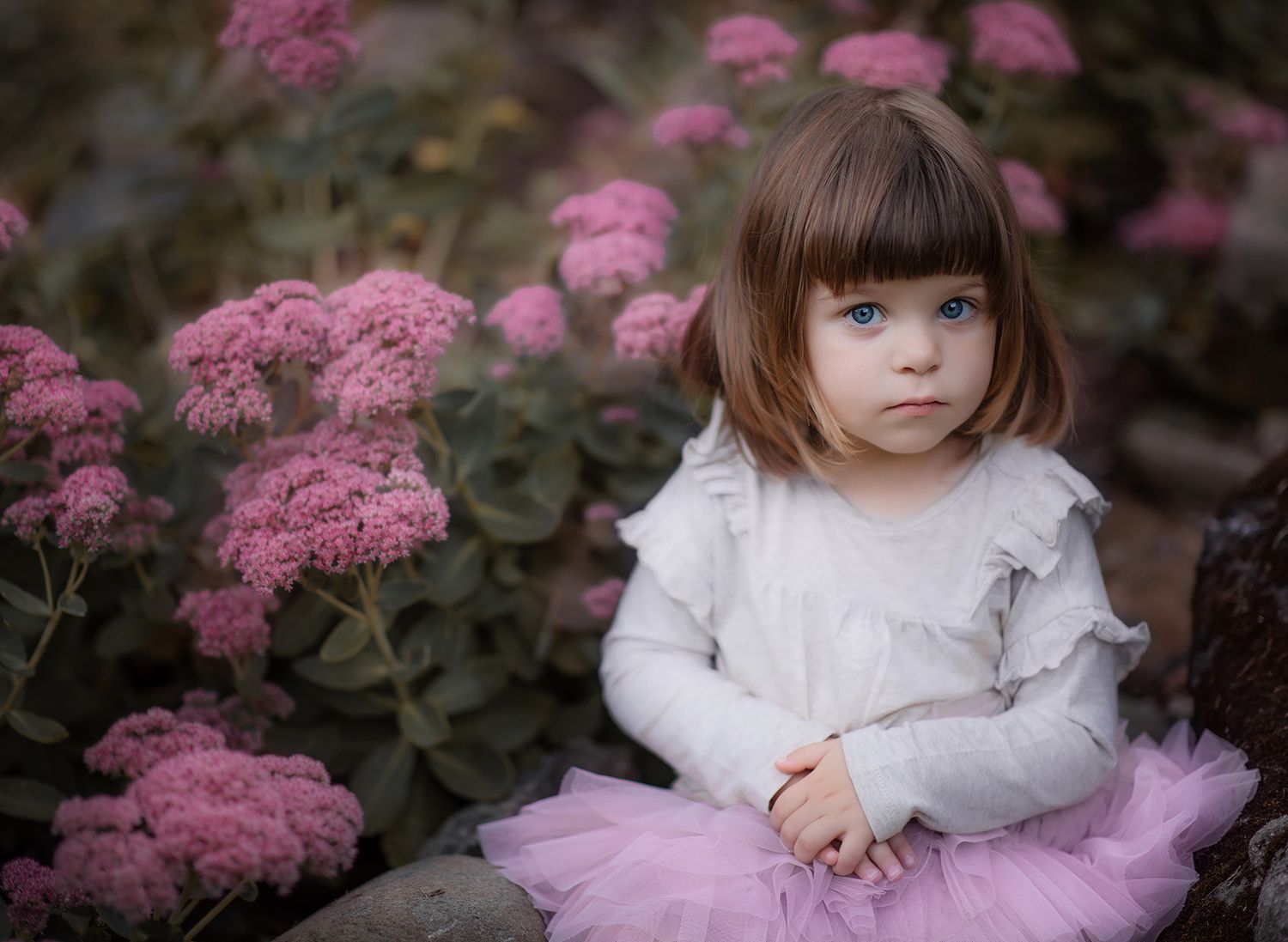 A little girl with blue eyes in a white top and pink tutu sits among blooming pink flowers in a garden.