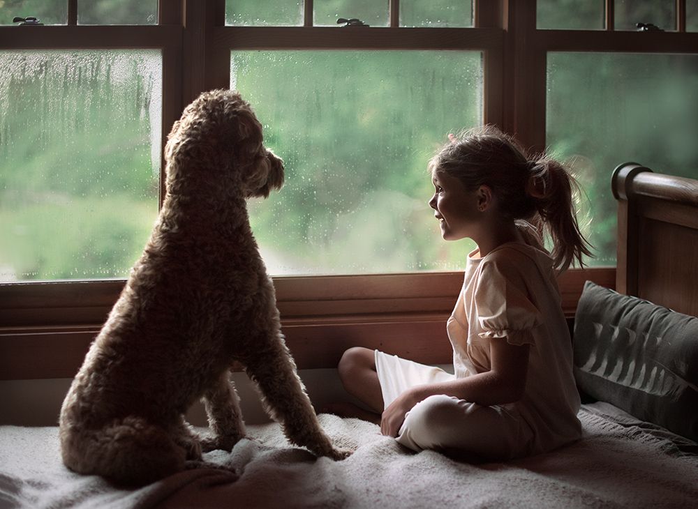 Young girl and large brown poodle sitting face to face by a rainy window.