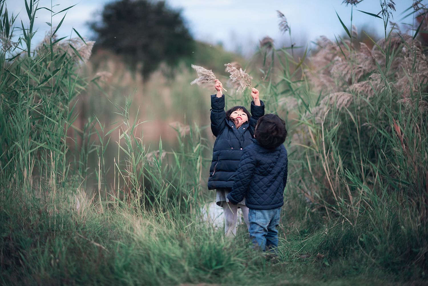 Two children in dark jackets reaching up toward tall grass reeds in nature.