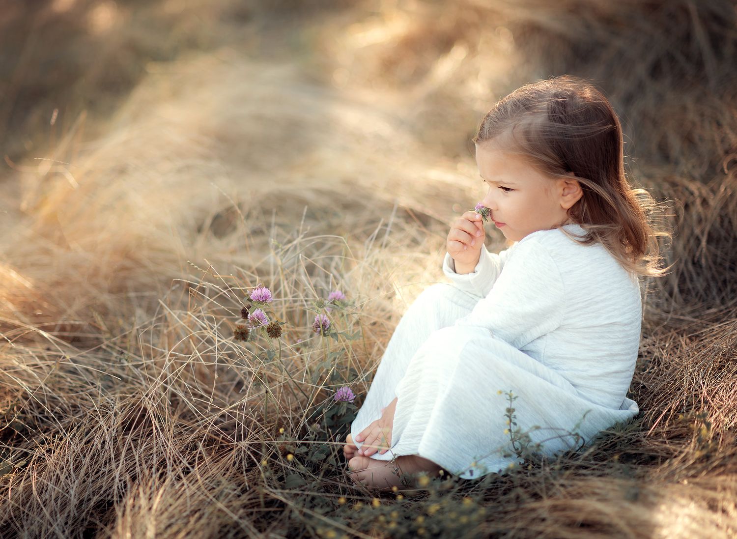 A little girl in a white dress sits quietly in dry golden grass, smelling a small wildflower.