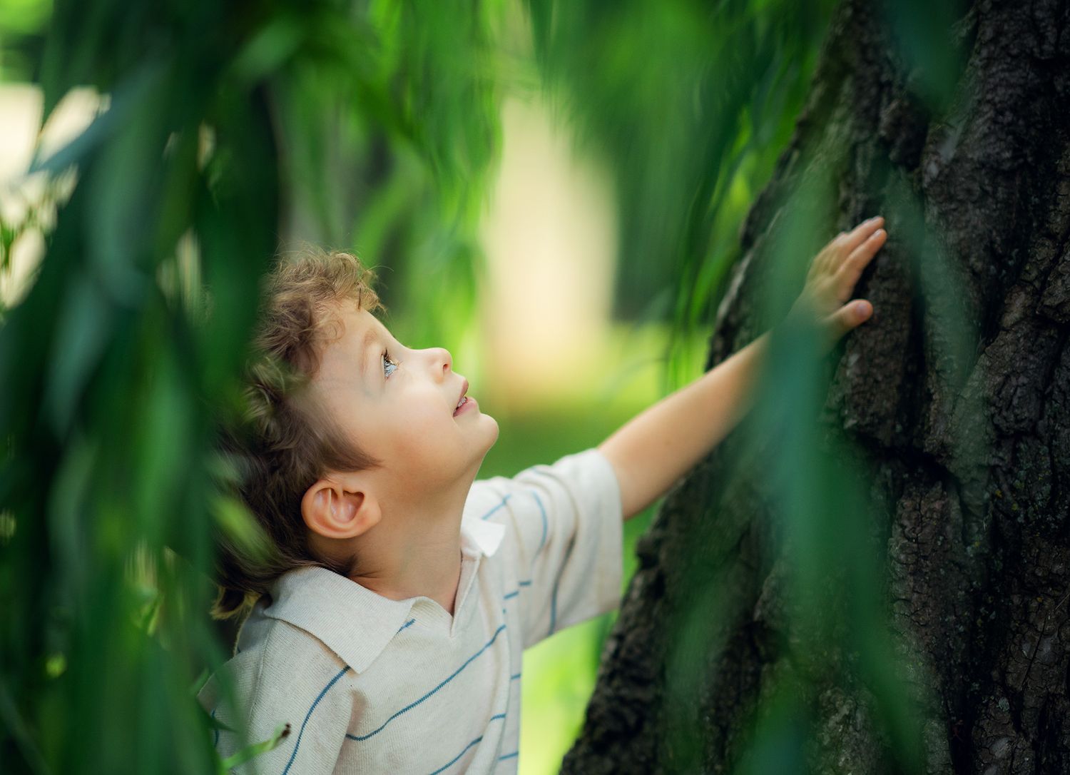 A young boy reaches up to touch the bark of a large tree surrounded by green leaves.