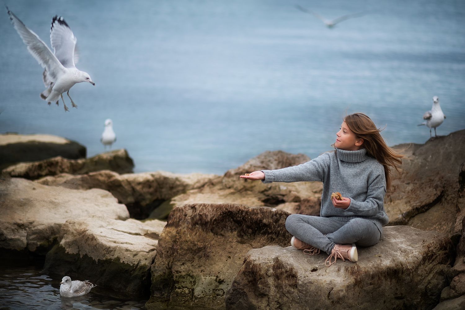 Young girl sitting on rocks feeding seagulls by the ocean on a cloudy day.