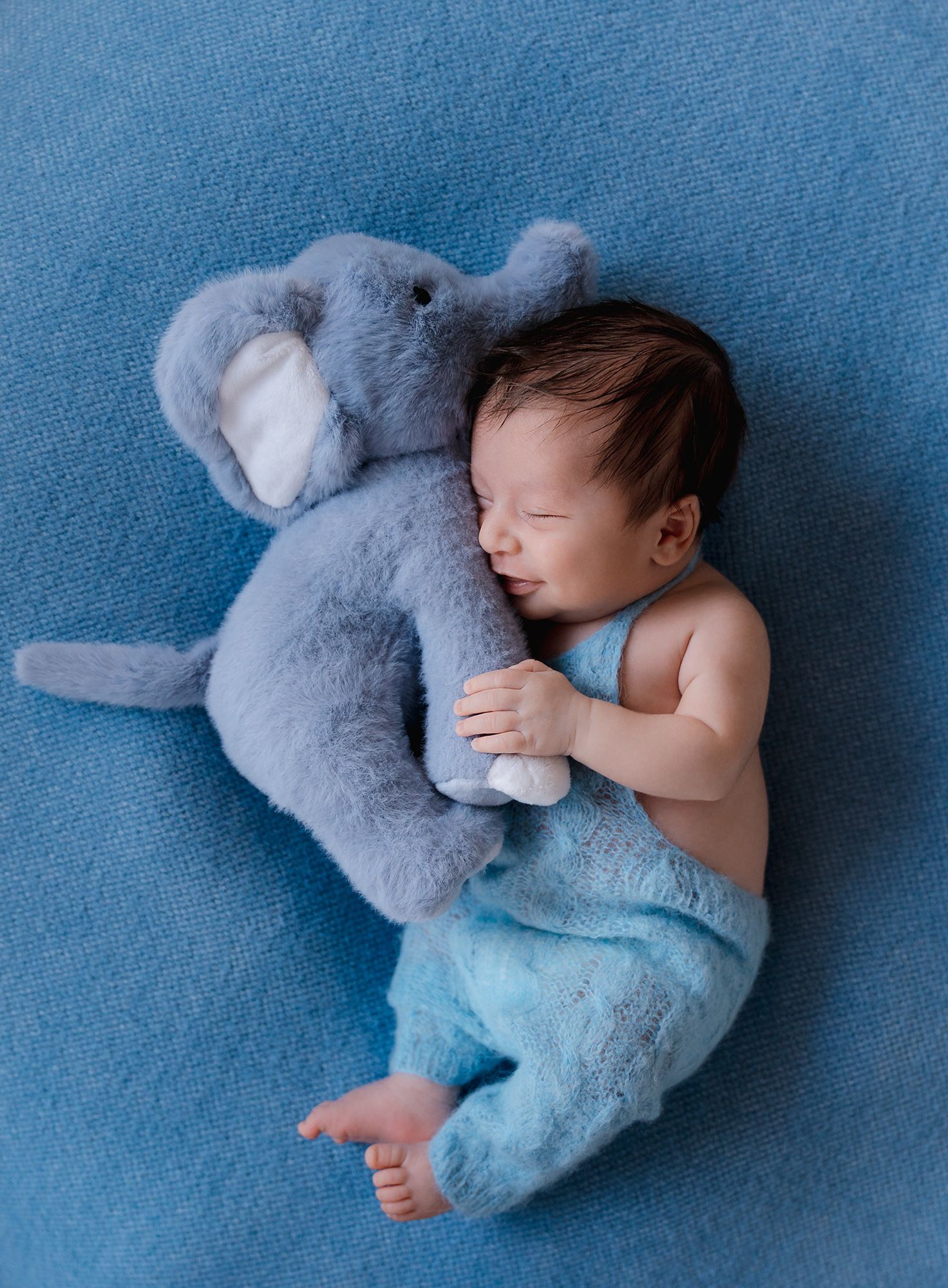 Sleeping newborn baby boy cuddling a blue stuffed elephant toy on a blue blanket background.