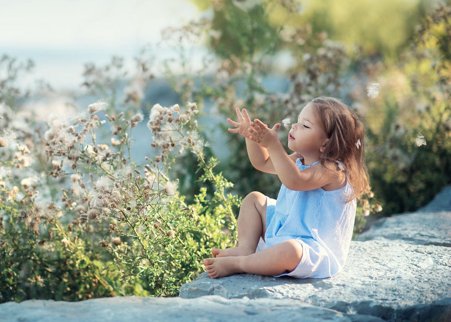 Young girl in blue dress sitting on rocks outdoors, reaching toward wildflowers in sunlight.