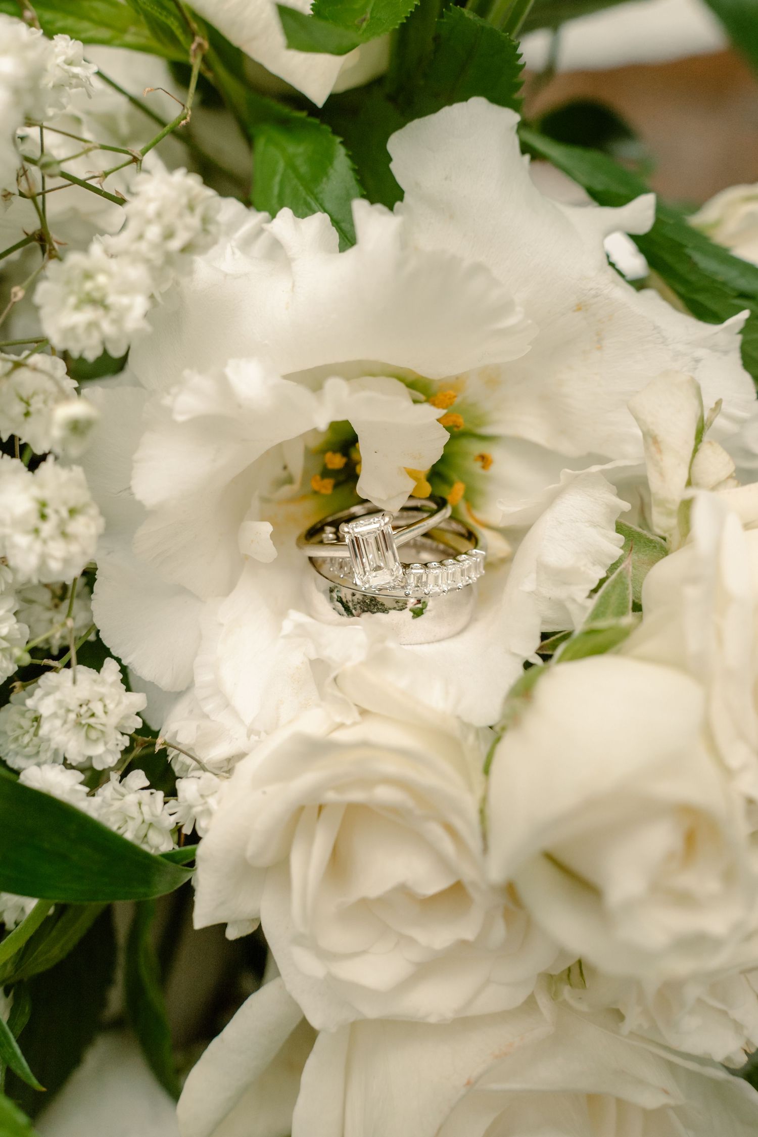 North Carolina wedding & portrait photographer serving Fayetteville and Eastern NC, specializing in couples, families, maternity & newborns.