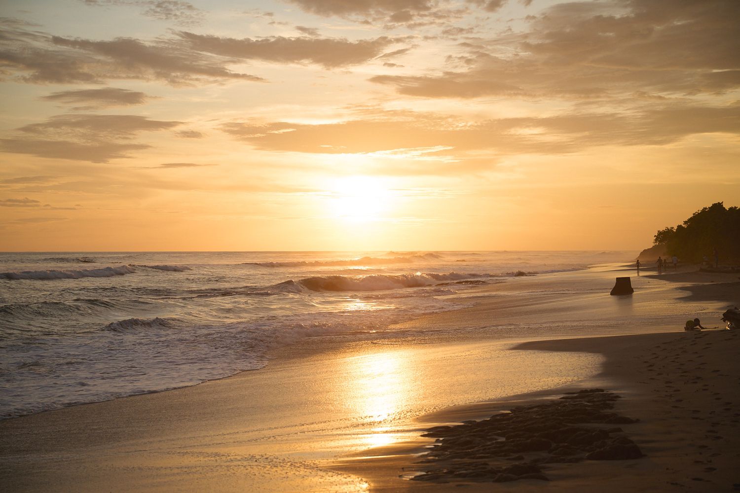 Golden sunset over a tranquil beach with gentle waves, warm glowing sky, and silhouetted trees along the shoreline.