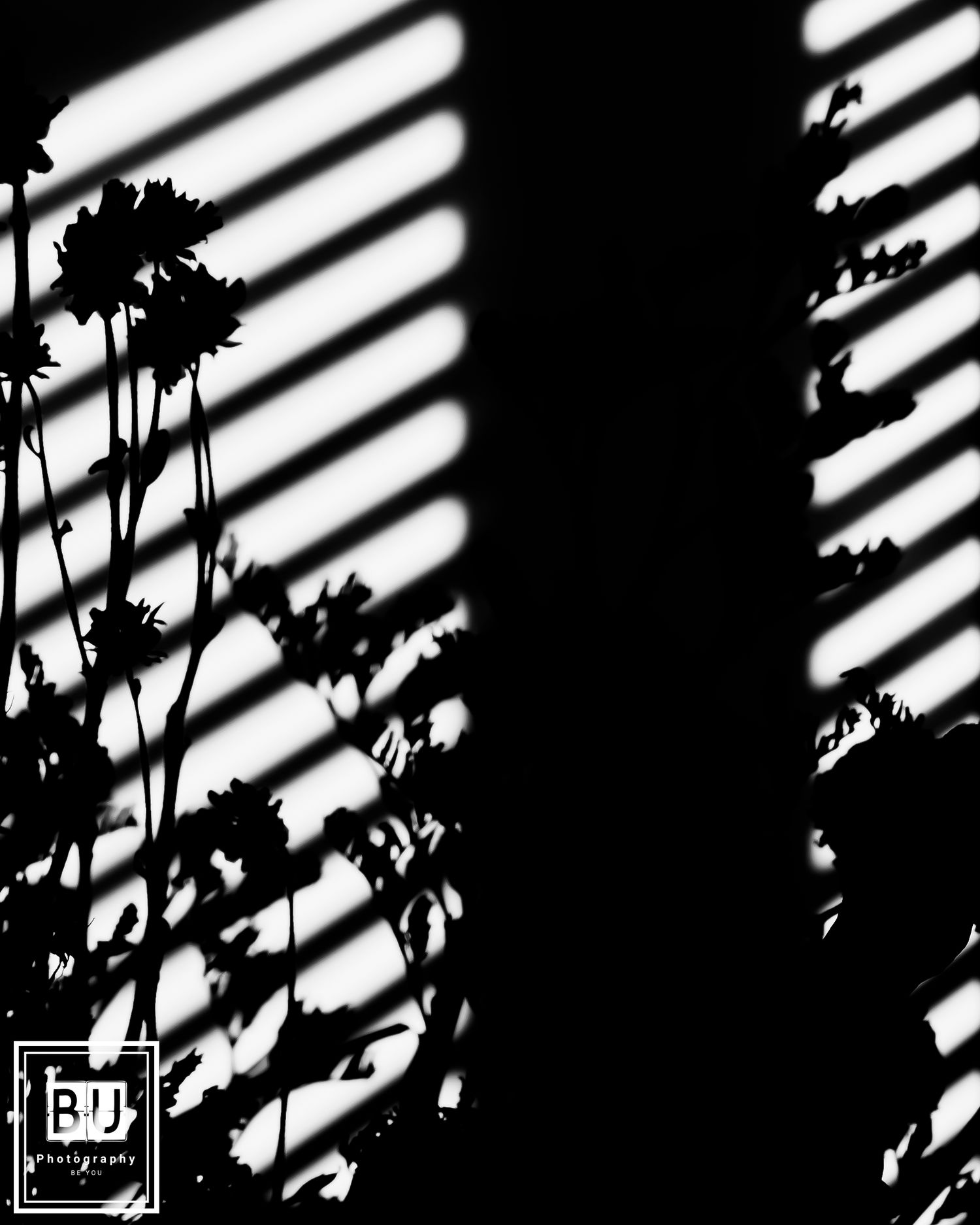 Dramatic shadows from window blinds cast diagonal lines across a wall with silhouetted plant branches creating artistic contrast.