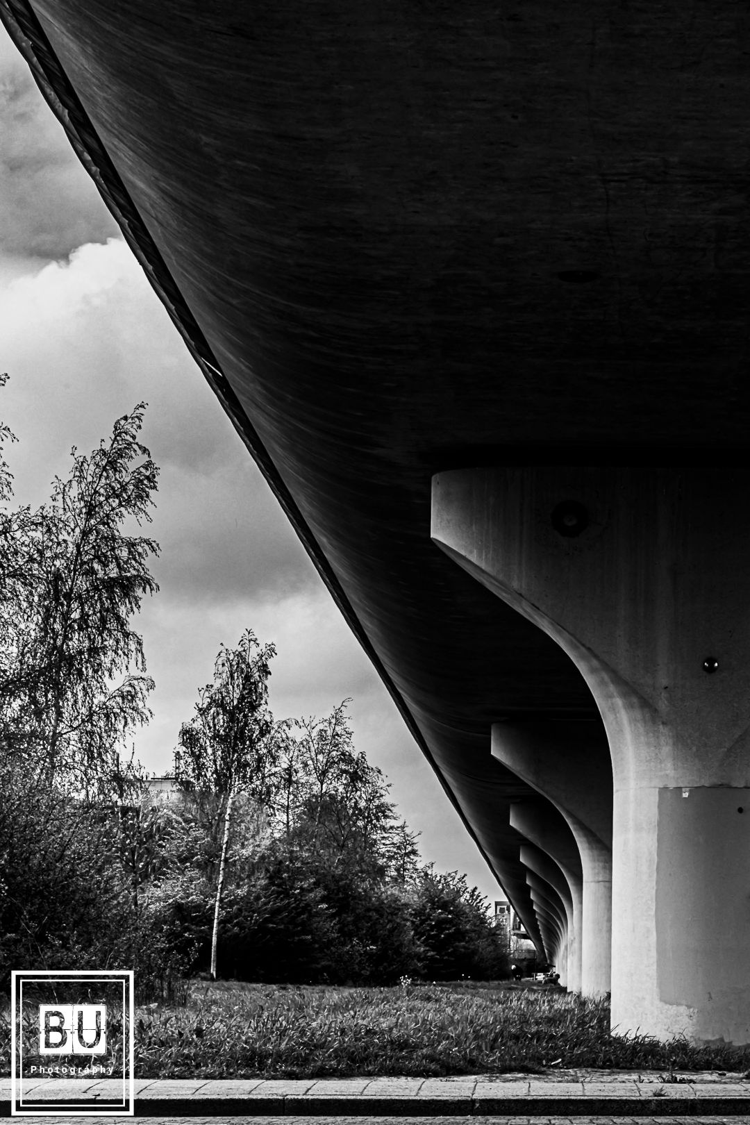 A dramatic black and white perspective of concrete bridge supports against trees and cloudy sky.