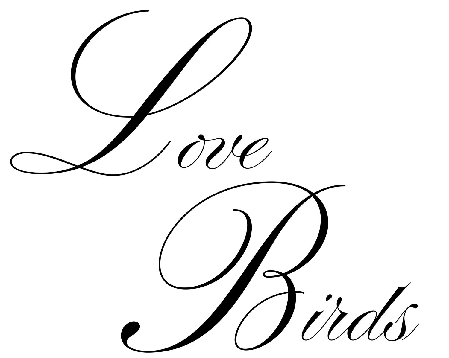 Elegant cursive black text reading Love Birds on a white background for wedding stationery design.