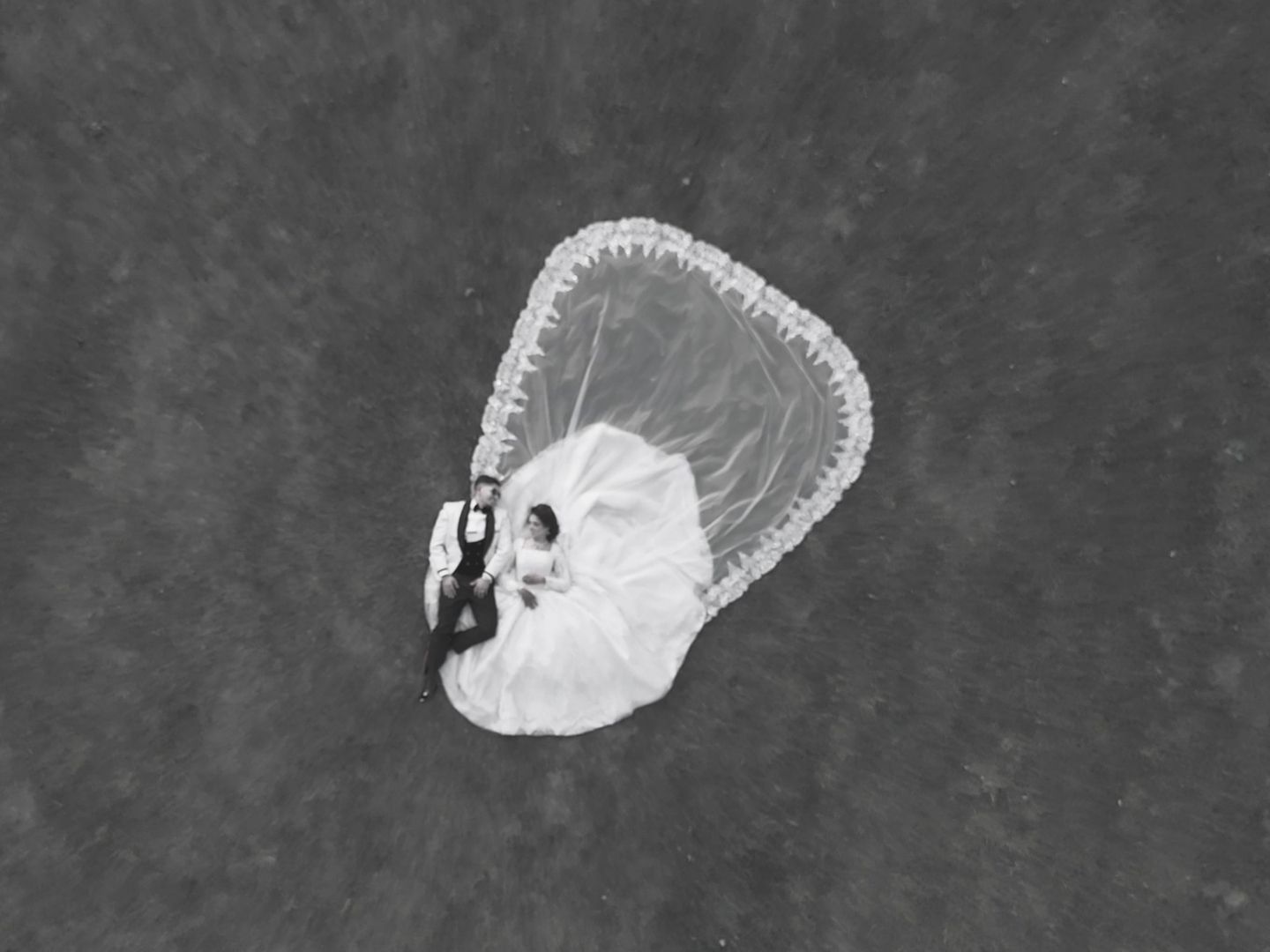 X-ray sequence showing a fish skeleton in progressive stages of movement against a dark background.