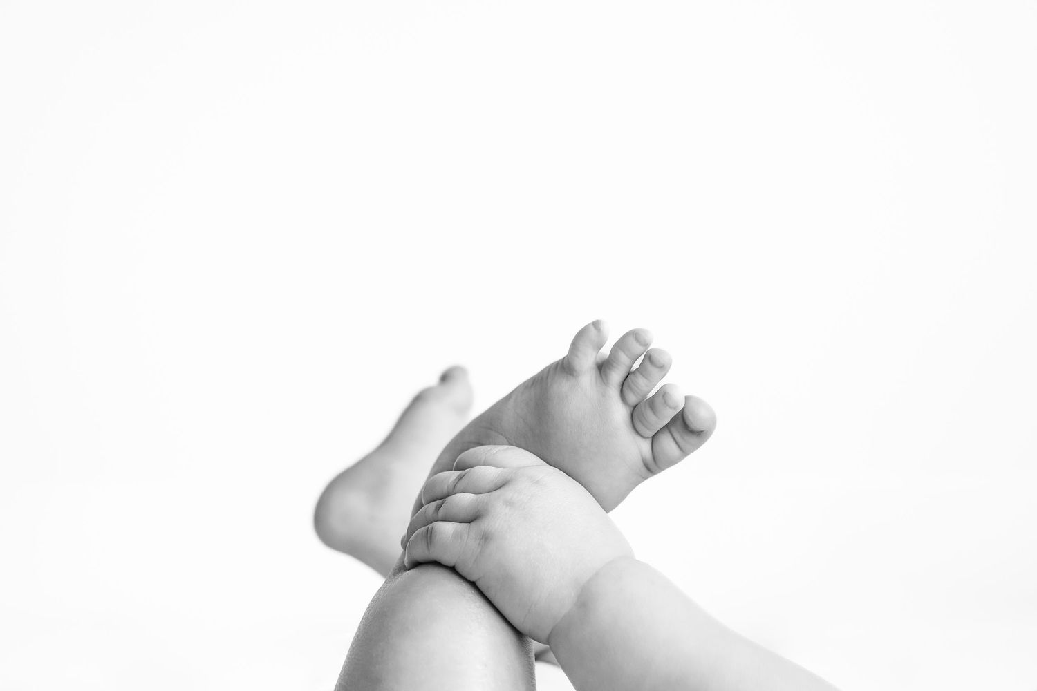 Black and white close-up photographs of baby hands and feet against white background.