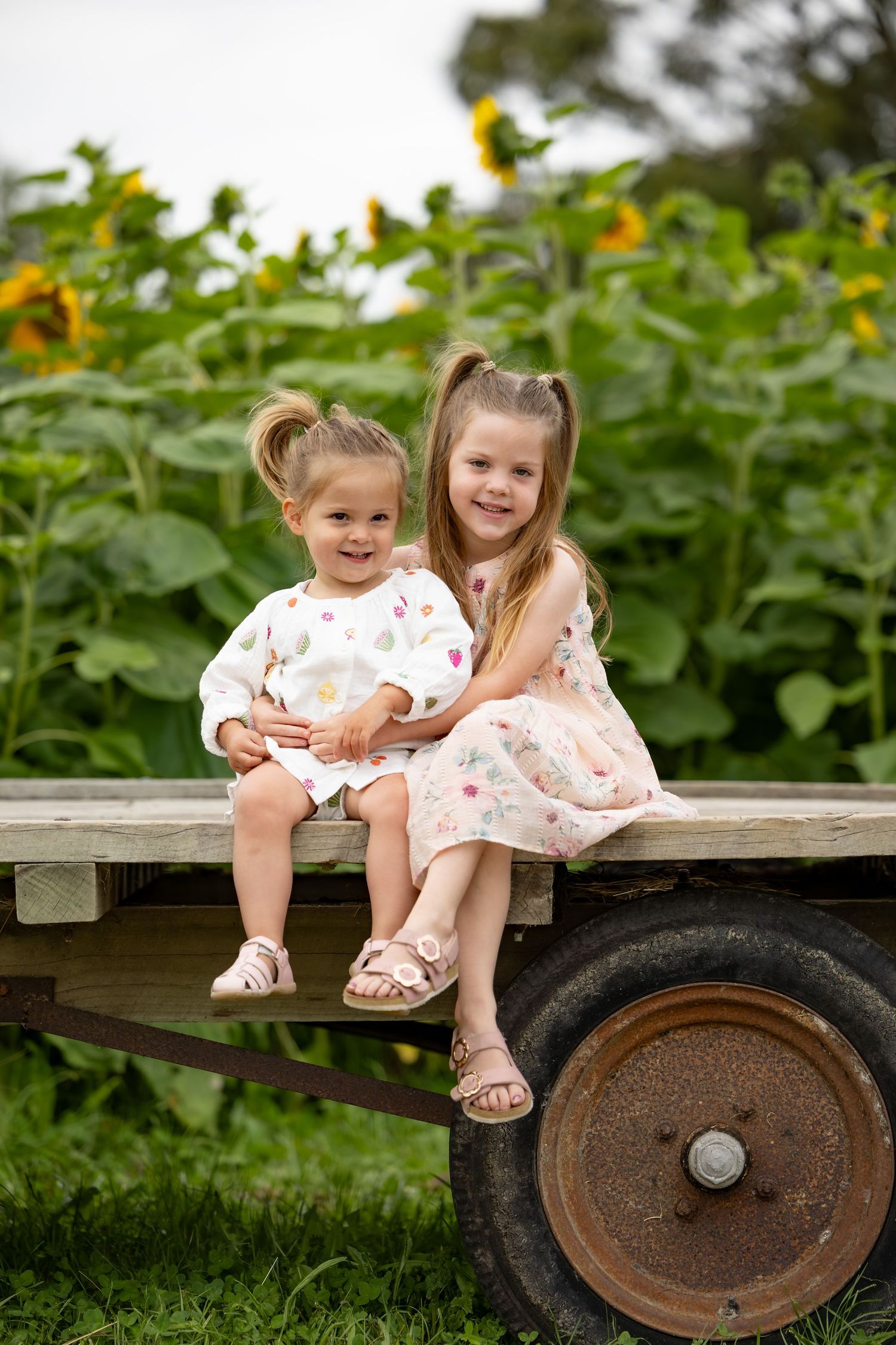 Christchurch family photographer, newborn, lifestyle family photography, Canterbury, couples, maternity, wedding, portrait, love, engagement