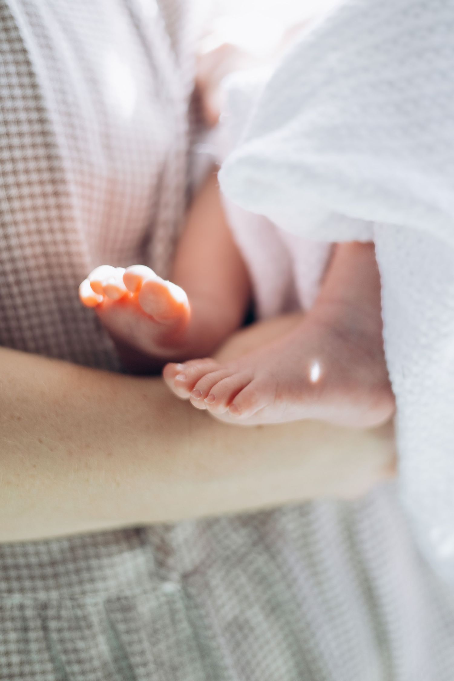 Christchurch family photographer, newborn, lifestyle family photography, Canterbury, couples, maternity, wedding, portrait, love, engagement