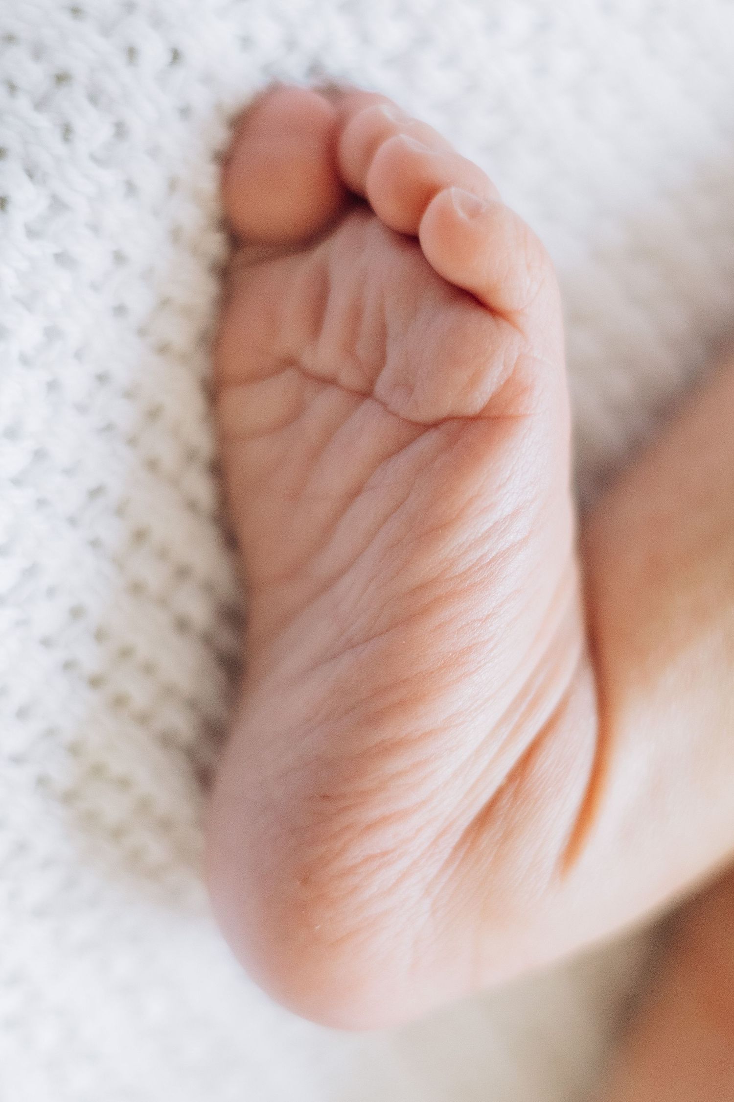 Christchurch family photographer, newborn, lifestyle family photography, Canterbury, couples, maternity, wedding, portrait, love, engagement
