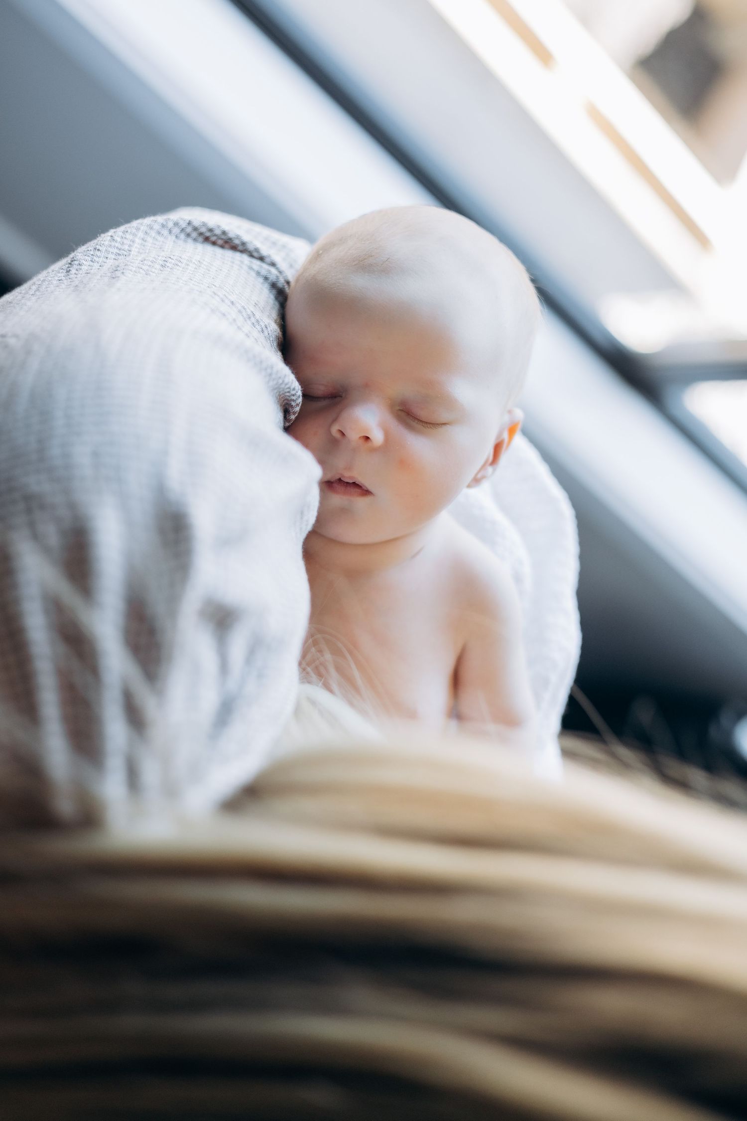 Christchurch family photographer, newborn, lifestyle family photography, Canterbury, couples, maternity, wedding, portrait, love, engagement