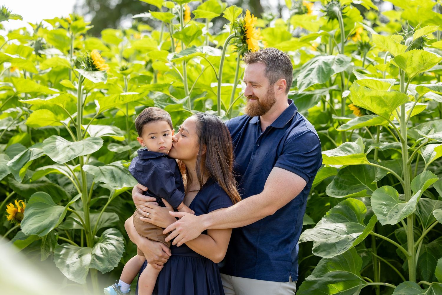 Christchurch family photographer, newborn, lifestyle family photography, Canterbury, couples, maternity, wedding, portrait, love, engagement