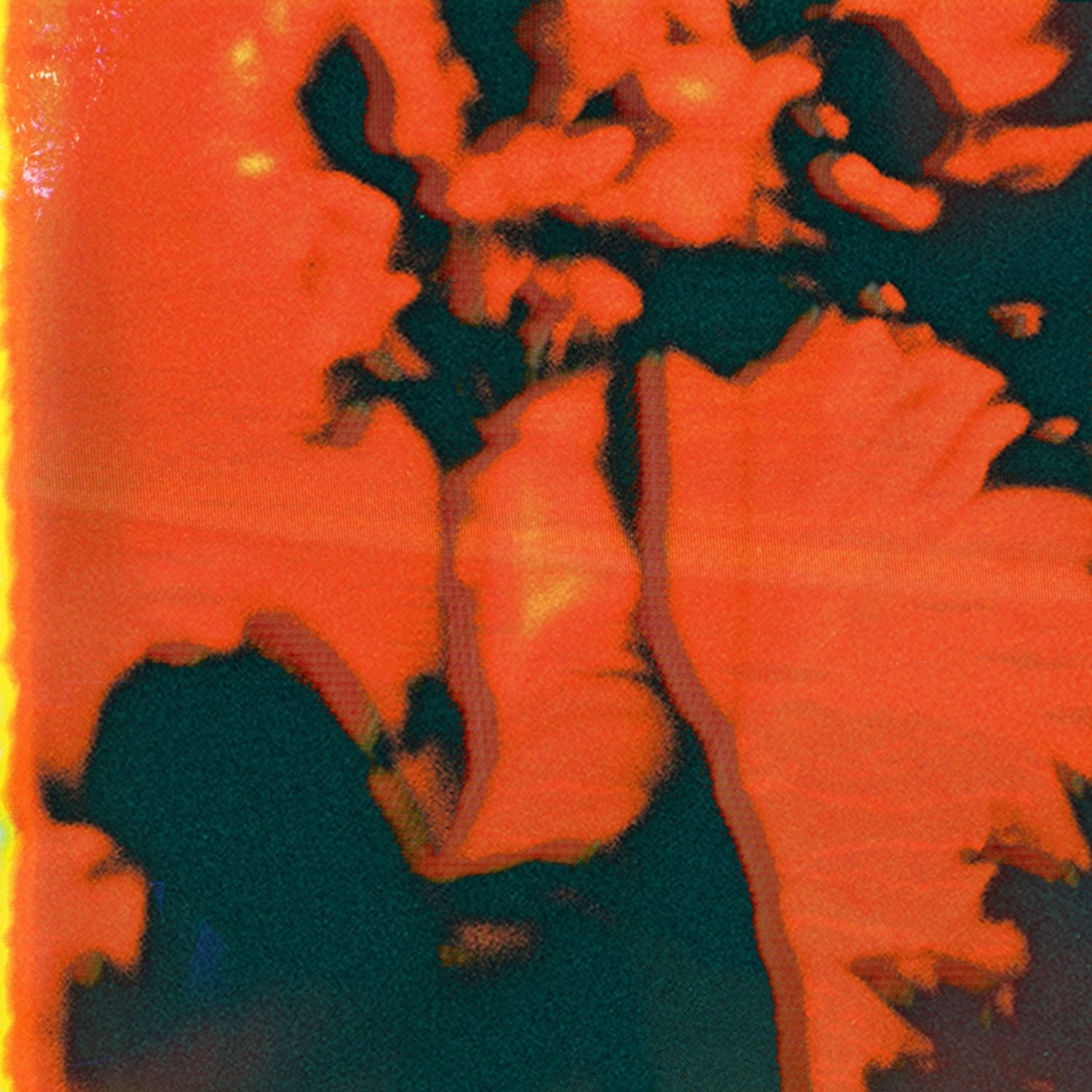 goodgrief