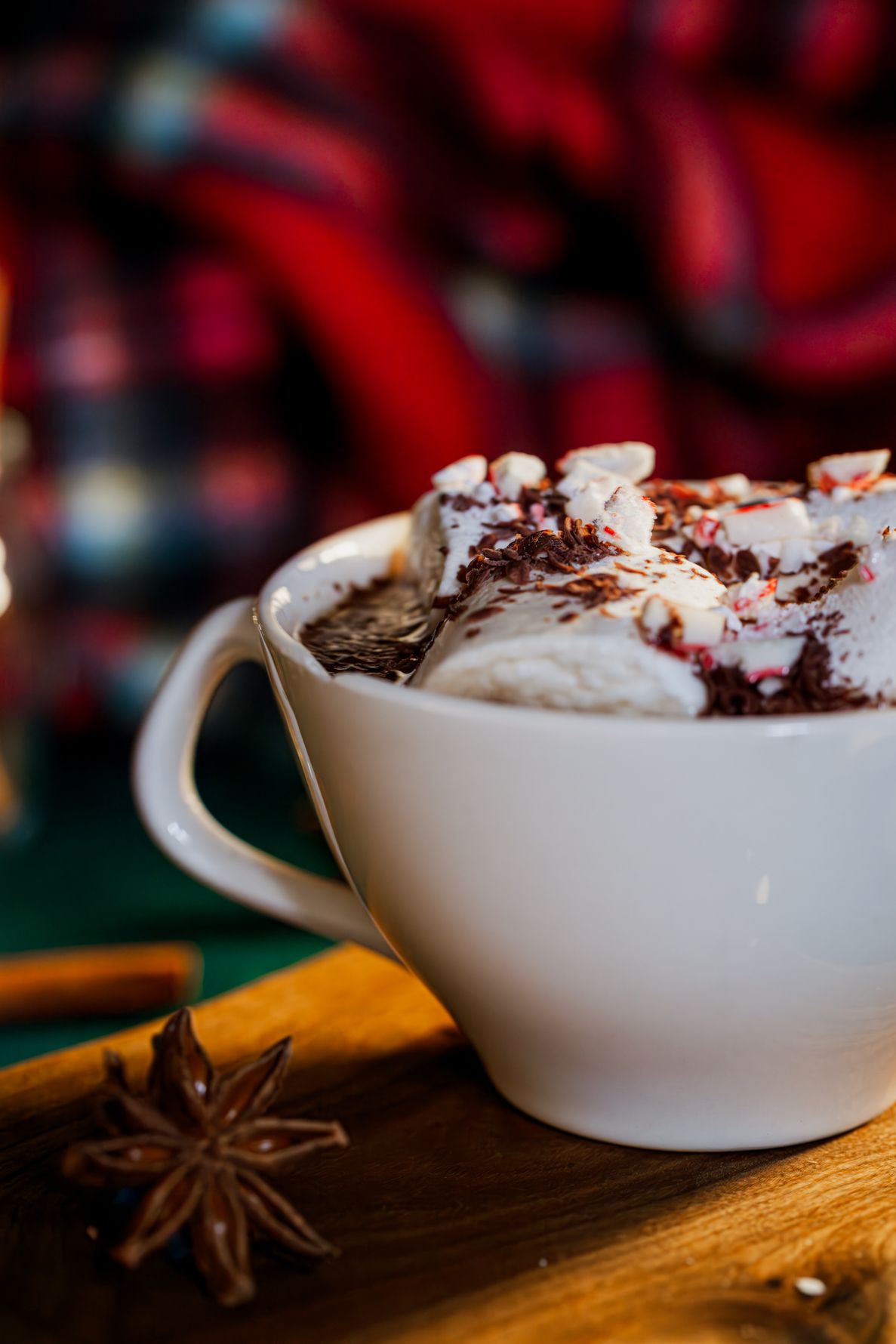 Hot chocolate topped with marshmallows and cinnamon sticks served in a glass mug with cozy plaid blanket and candy canes. B. Steele Images