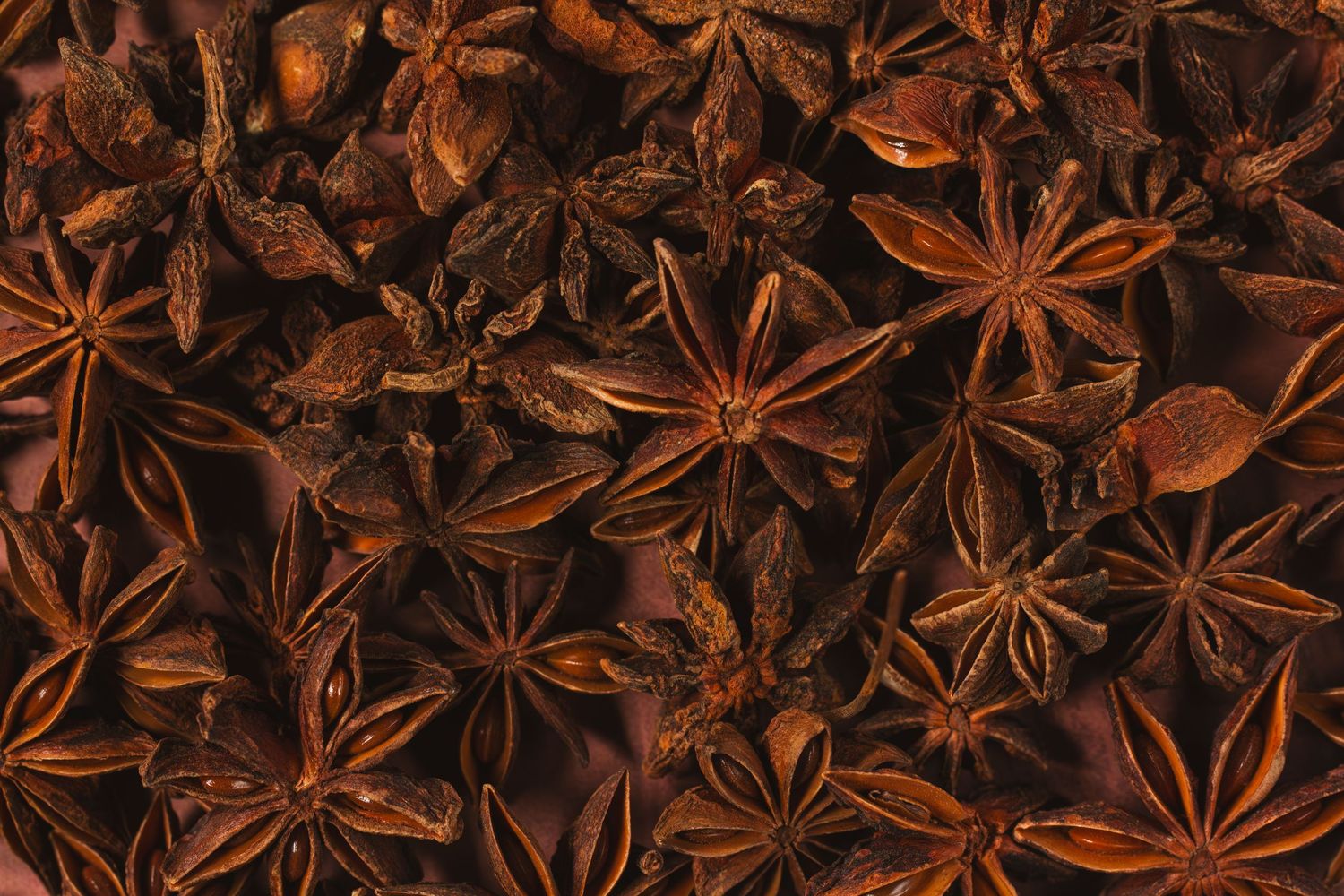 Close up of dried star anise seeds arranged in a dark moody background showing their distinctive star pattern.