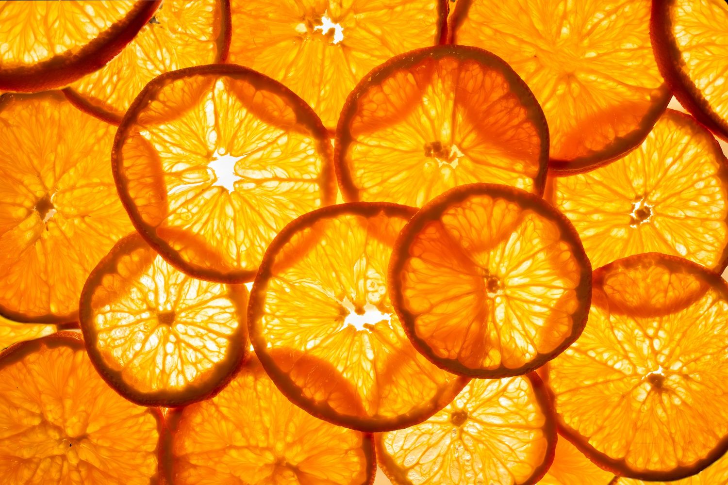 Bright orange citrus slices backlit to create a glowing pattern of translucent fruit segments. B. Steele Images, food photography